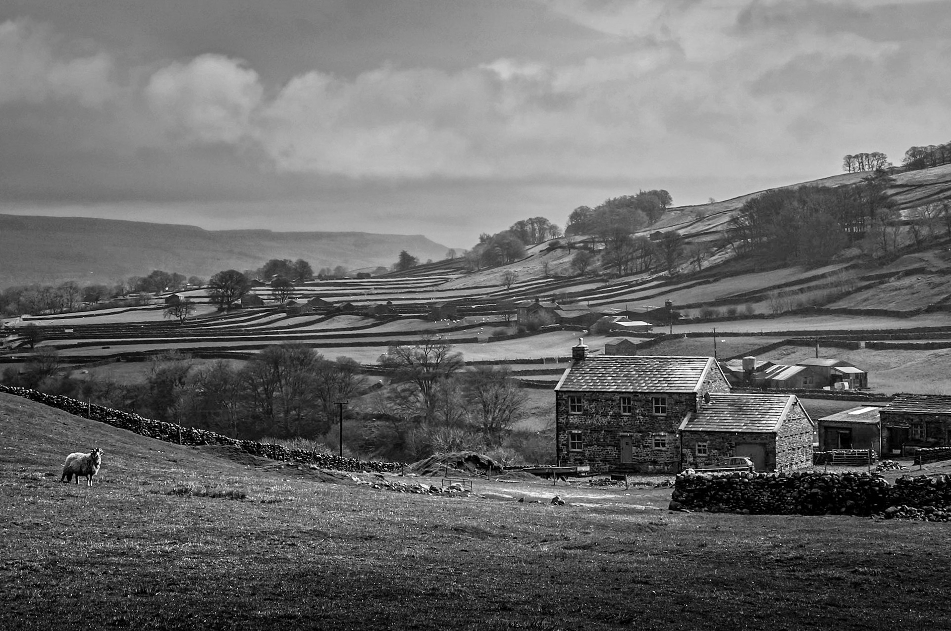 A005 - Dales View Unknown (BW)