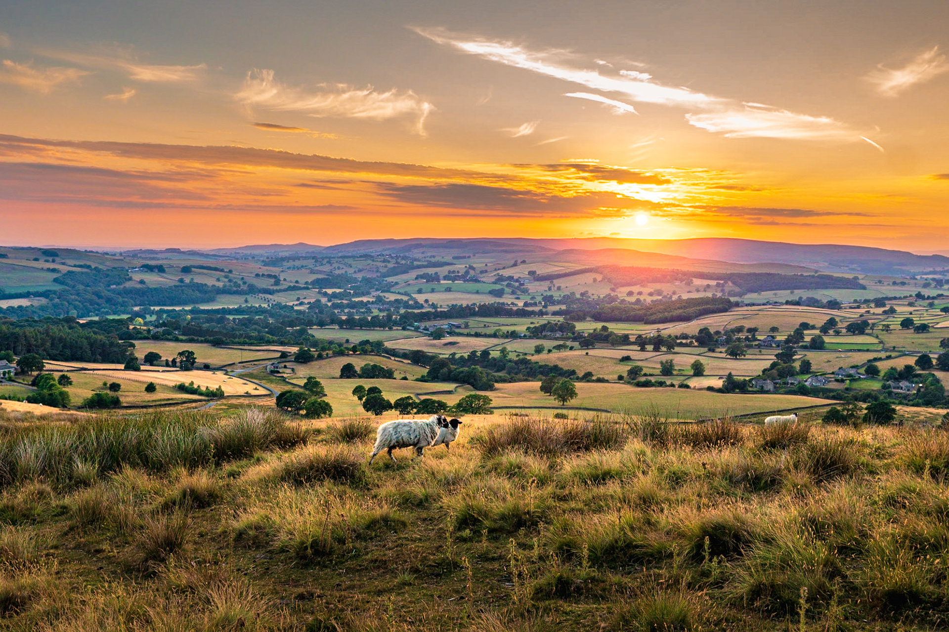 B029 - Langbar Sunset