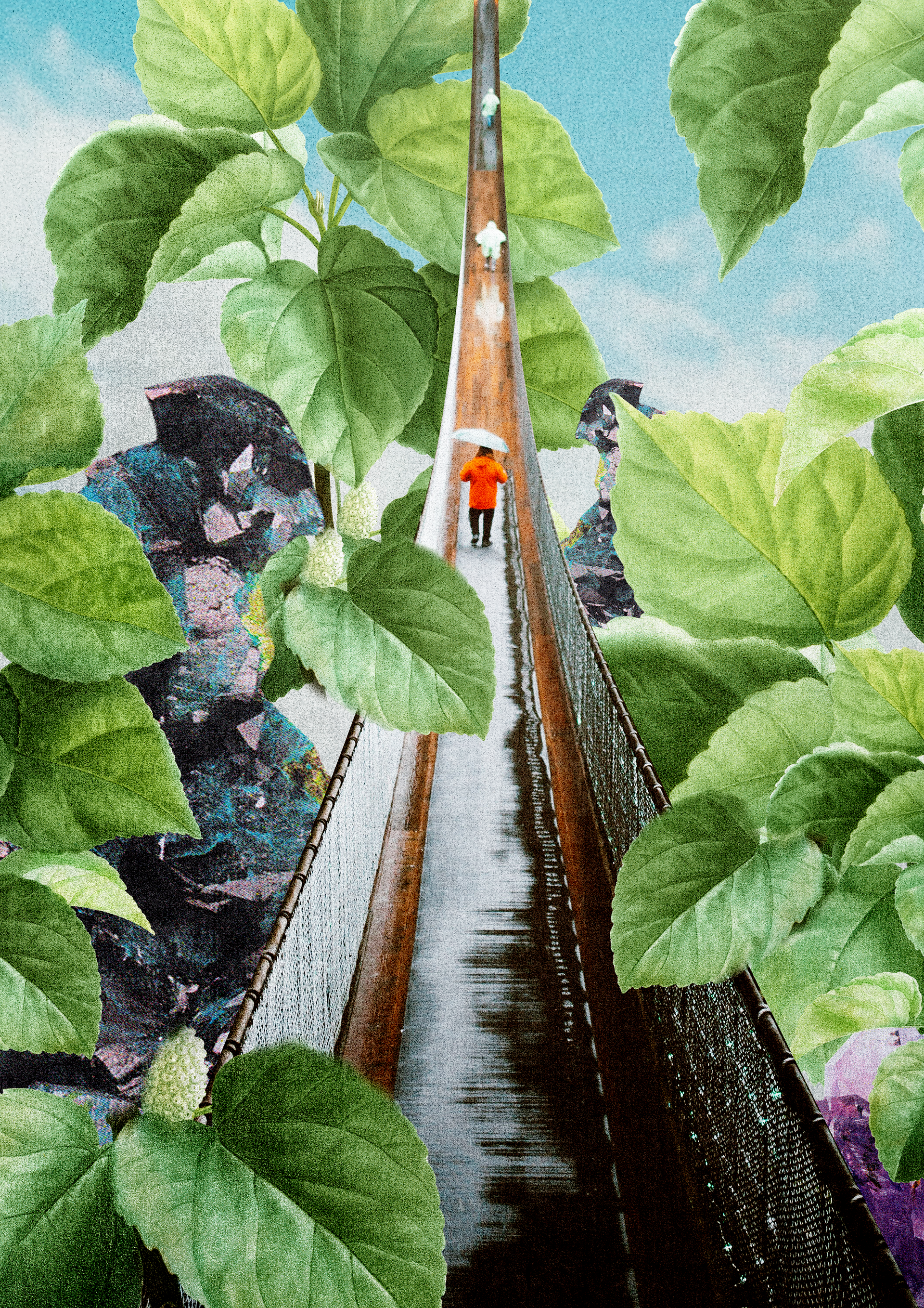 11. Plant