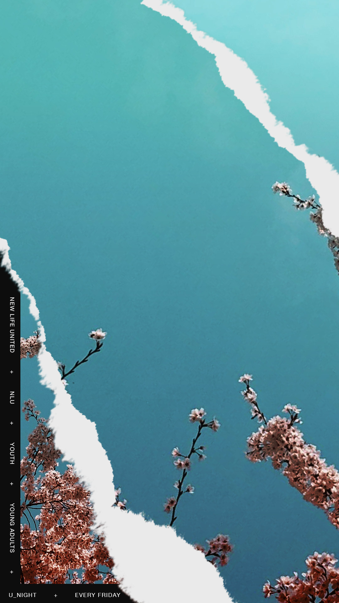Wallpaper Story