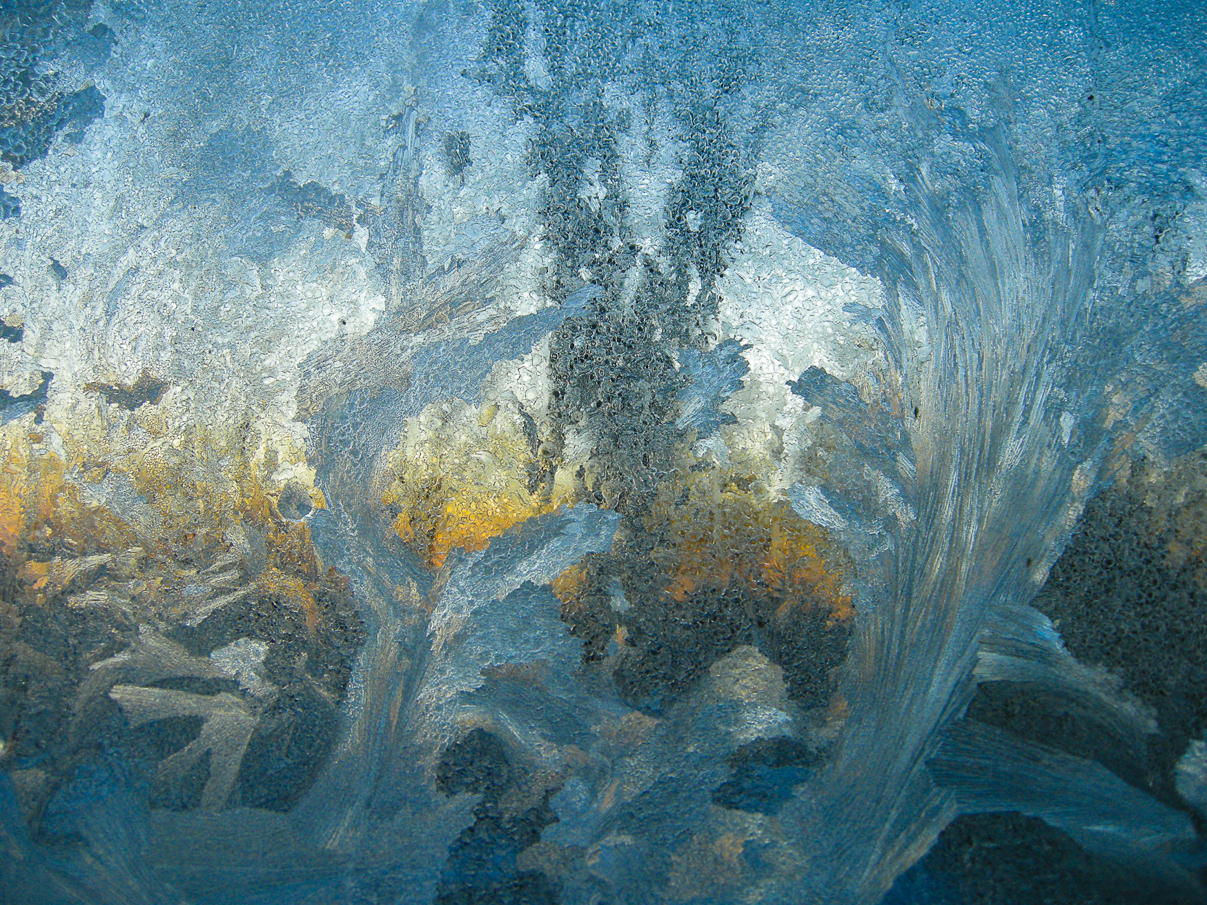 Morning Frost
