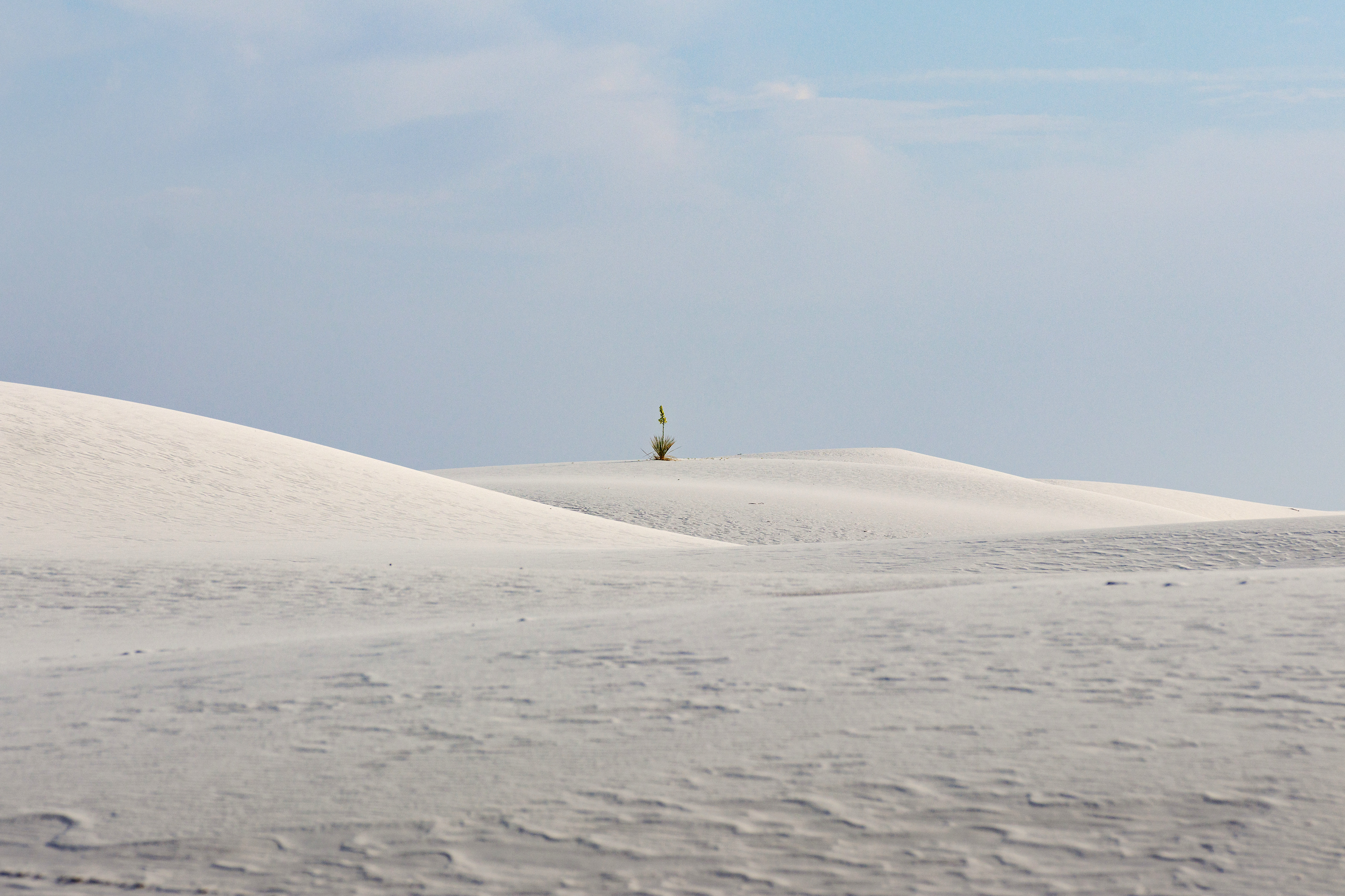 White Sands National Park, New Mexico  •  May 20, 2026