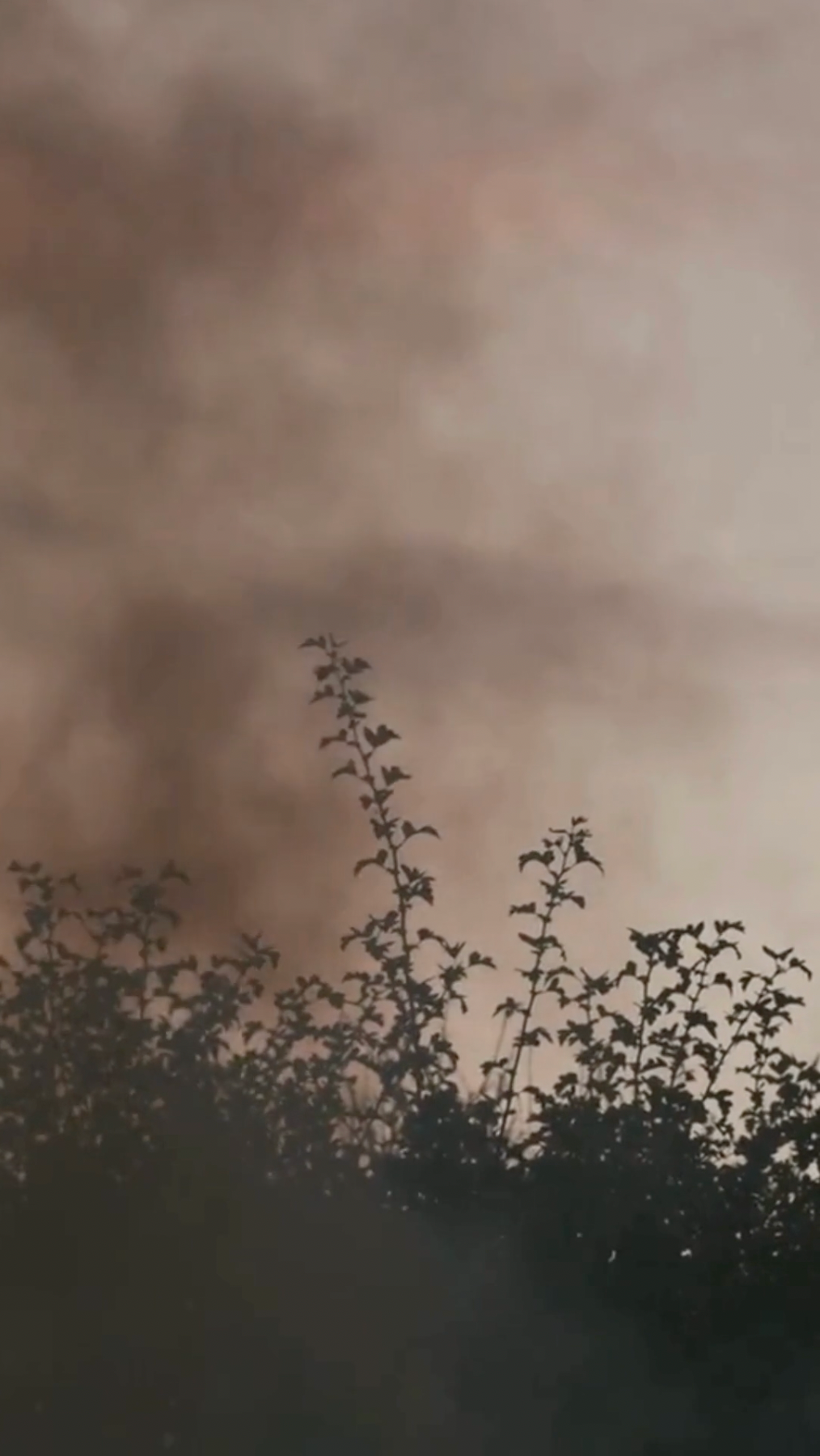 Video Still of Francisco Sánchez