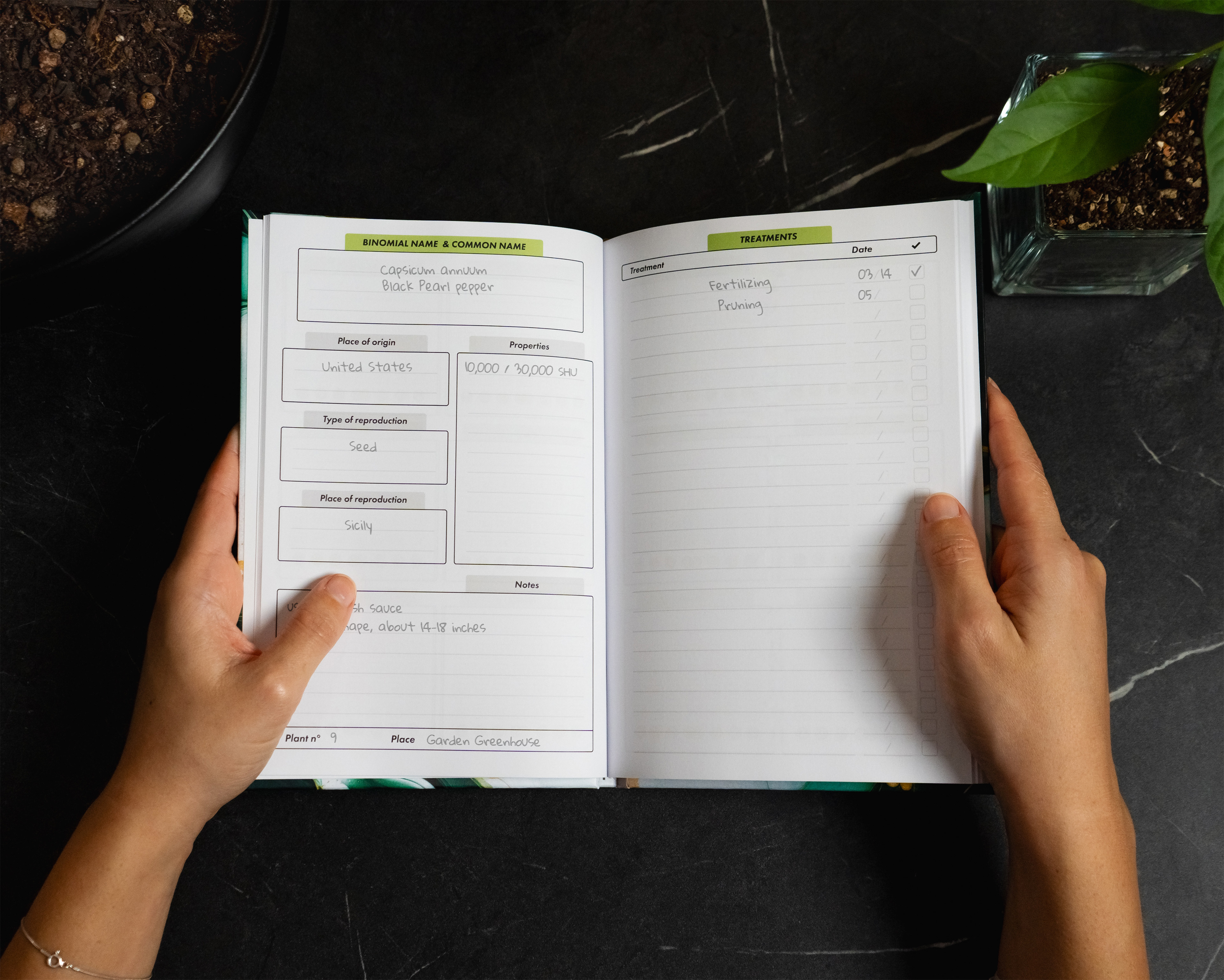 Interior pages of Nomad Crayon's My Garden planner with loging and treatments