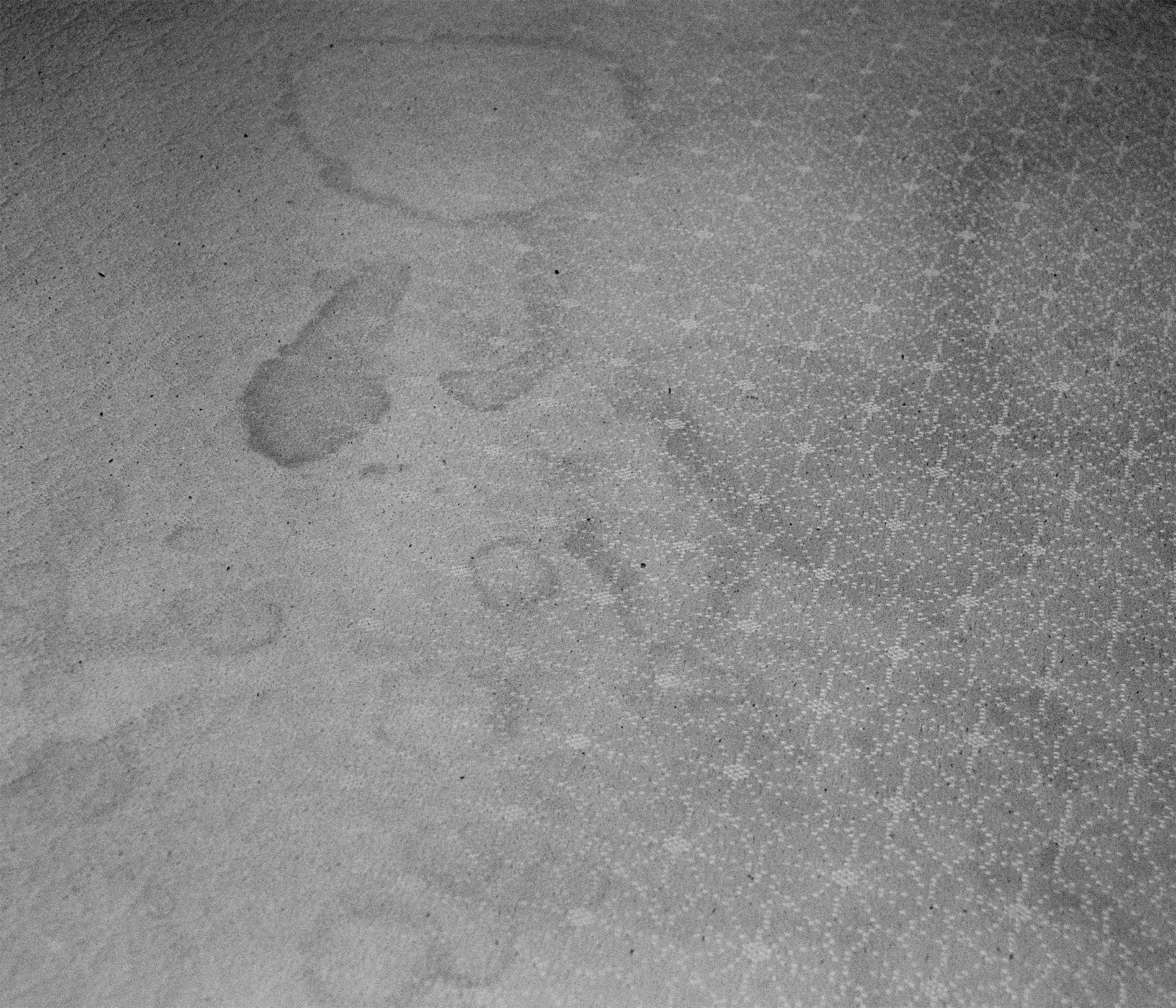 My Mattress, 2025