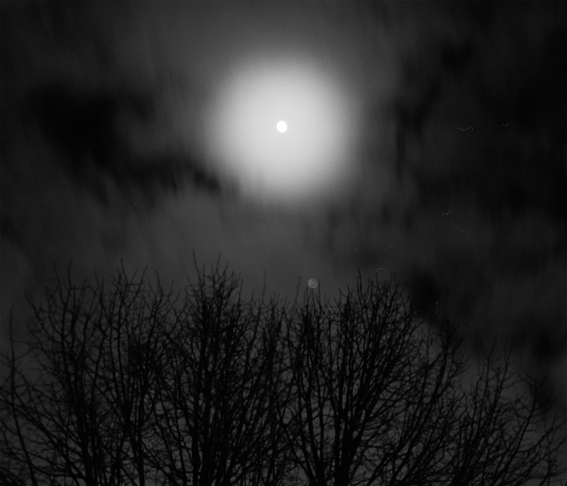 The Moon Near my House, 2025