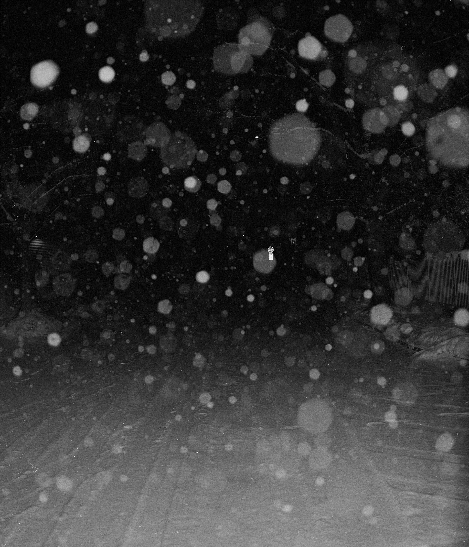 Snow Near my House, 2025