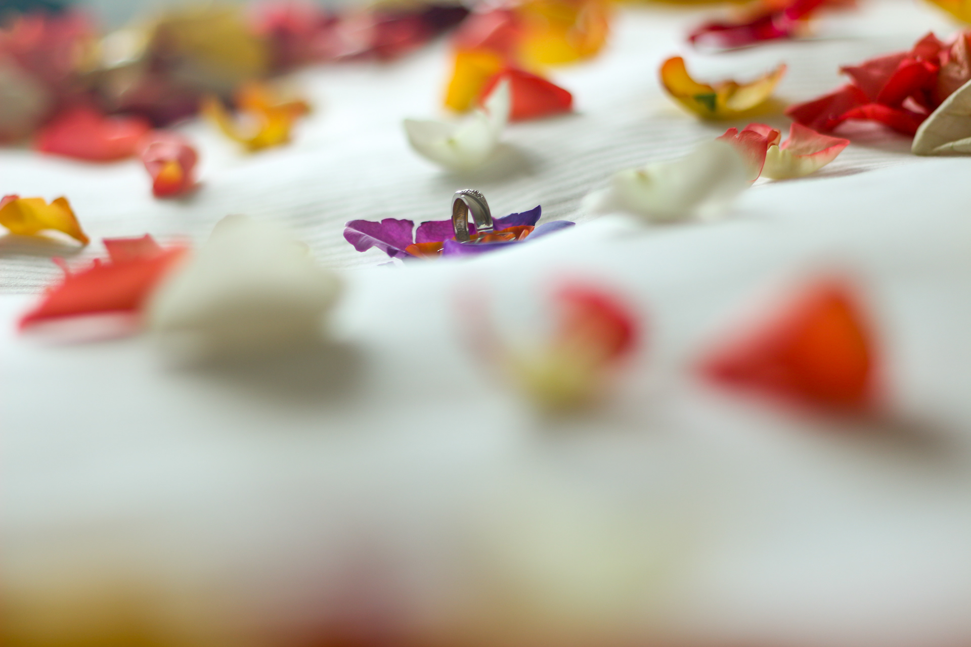 Eventos El Salvador