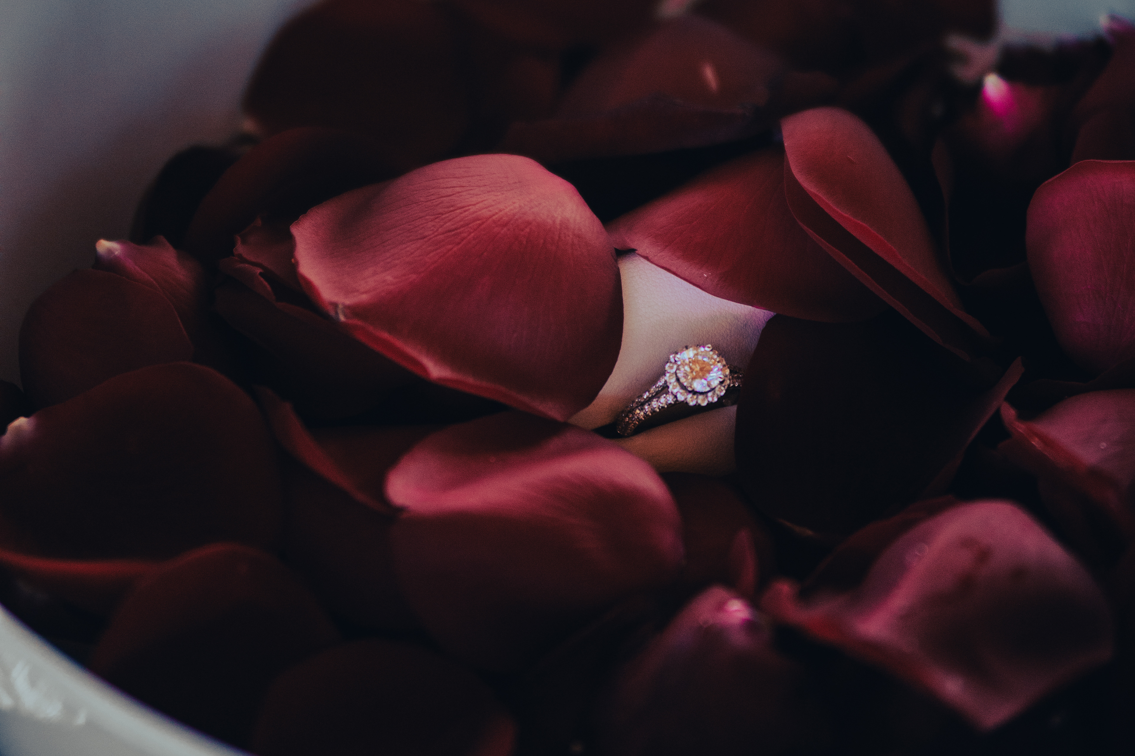 Fotógrafo de Joyería | Shein Photographer