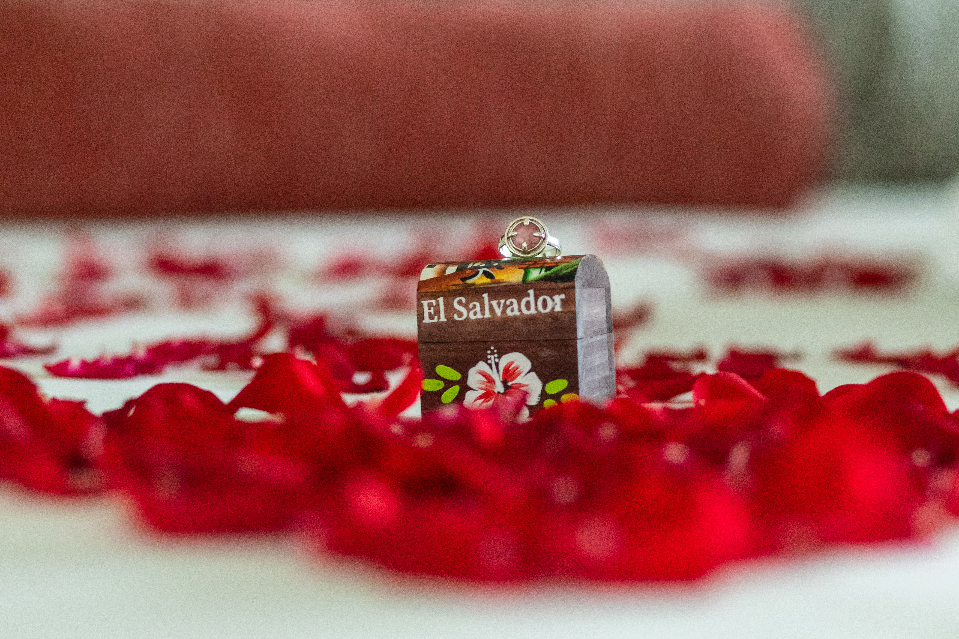 Anillos de propuestas El Salvador