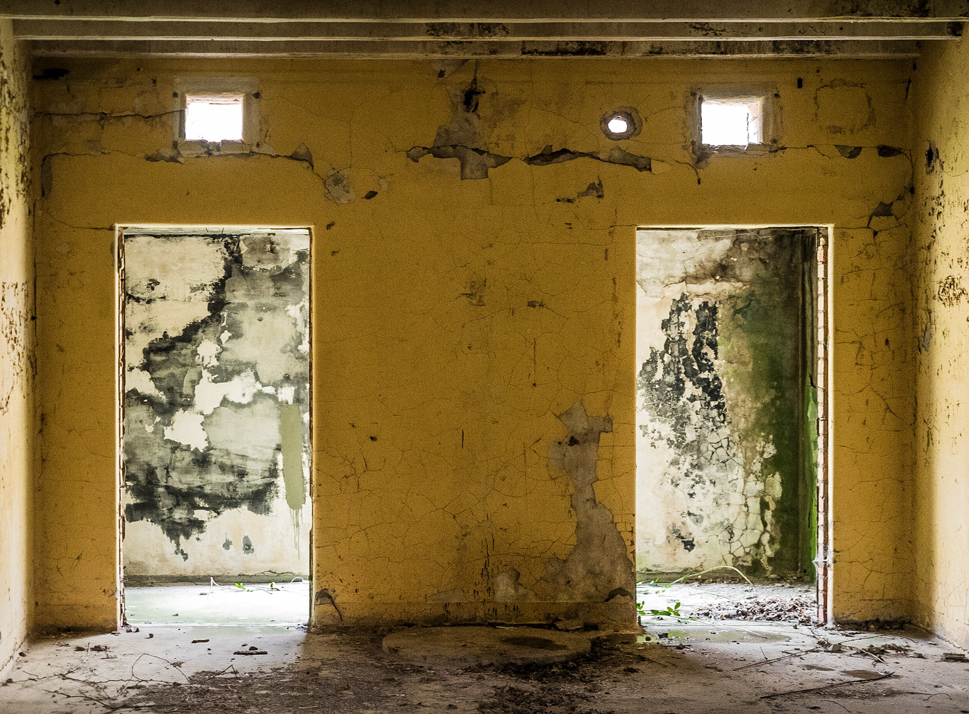 Yellow Wall and Doorways