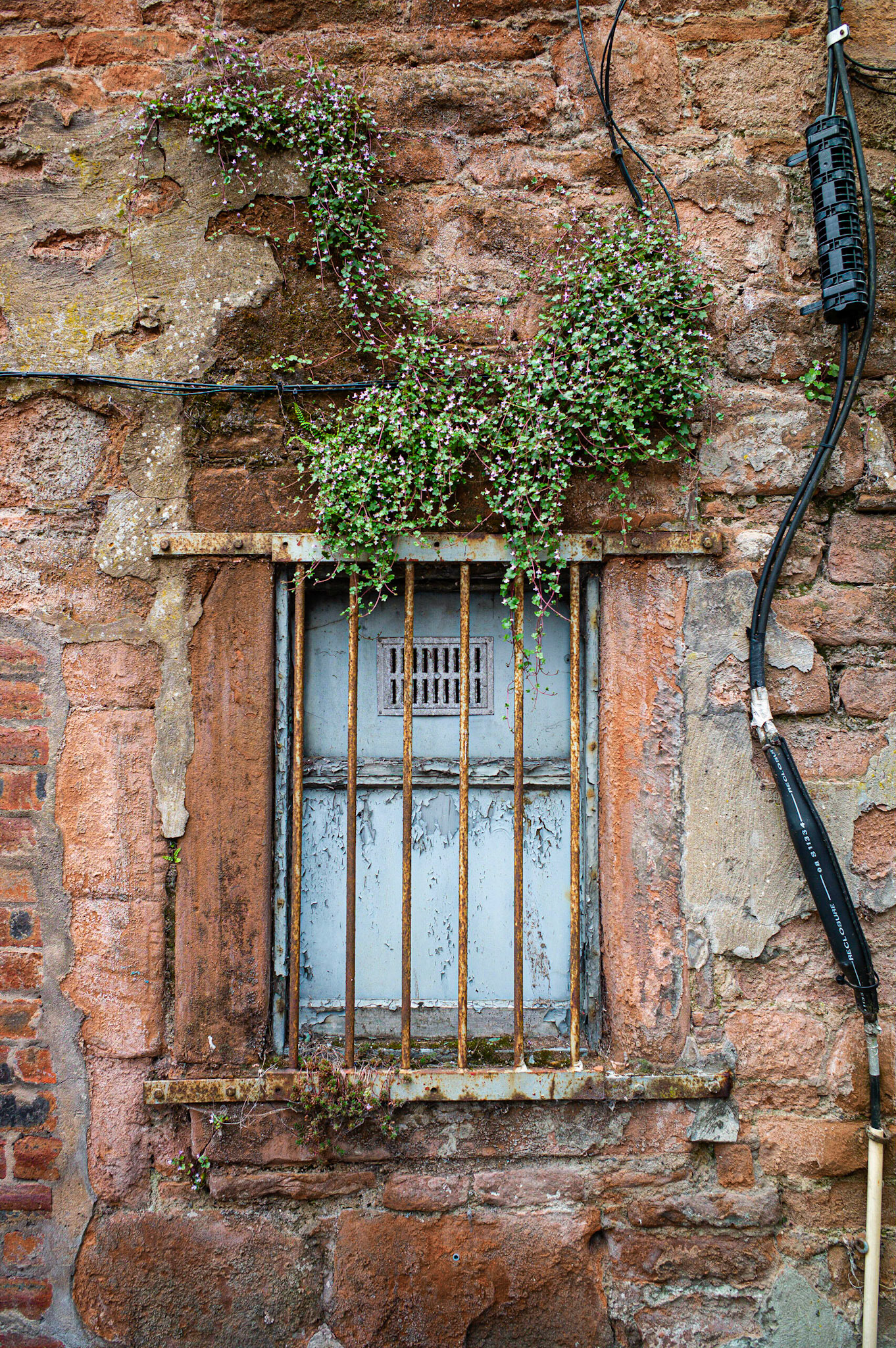 Growth, Bigger Window, Dumfries