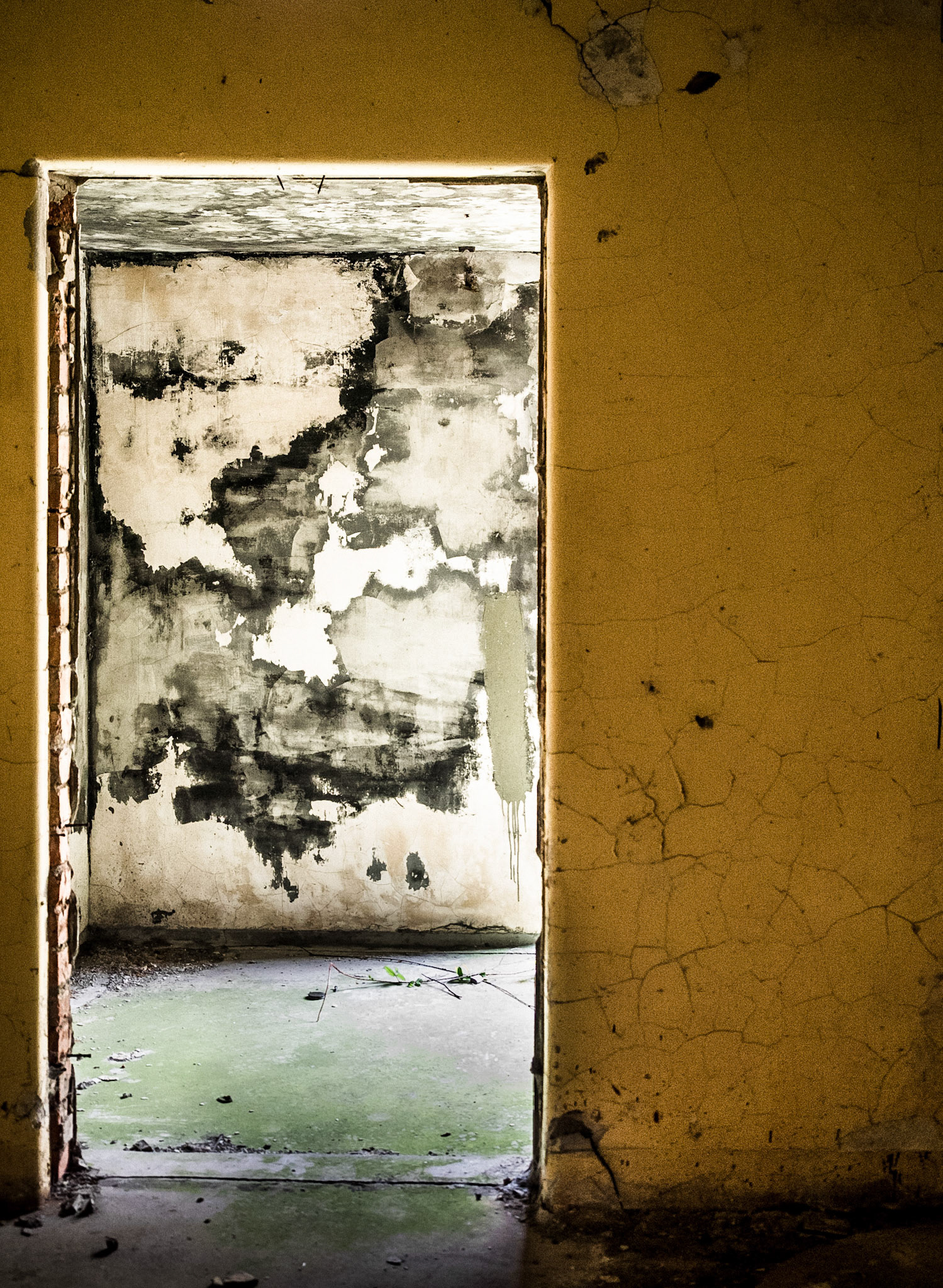 Yellow Wall