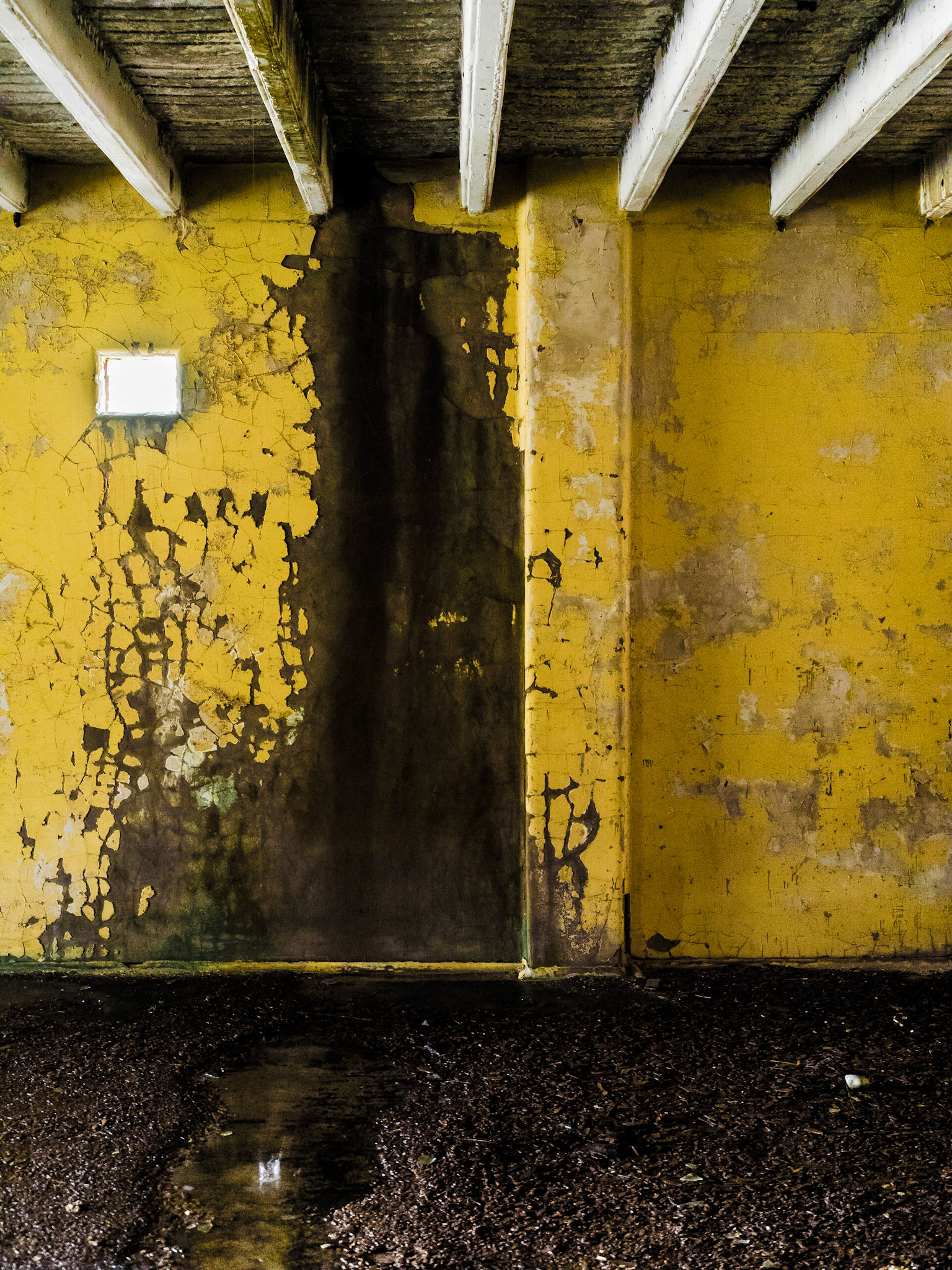 Damp