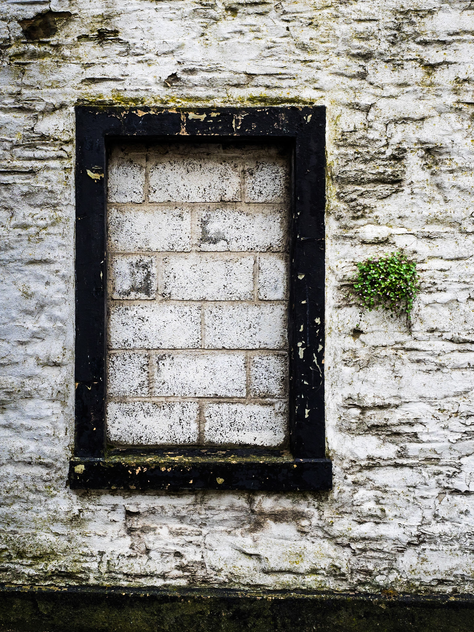 Growth, Whithorn