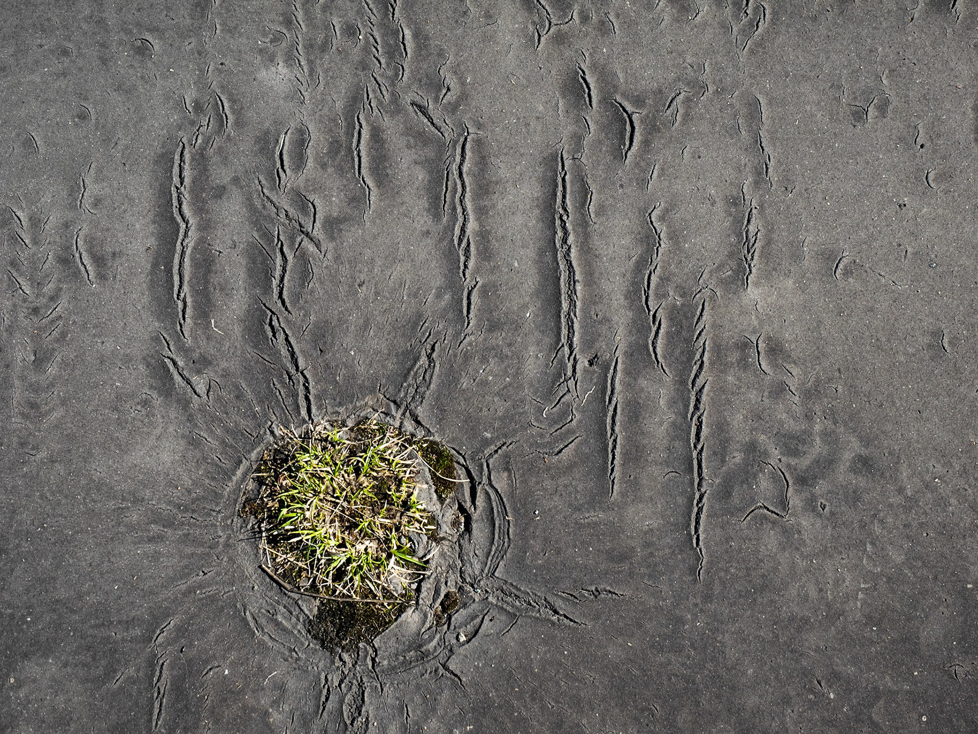 Rubber Road Surface