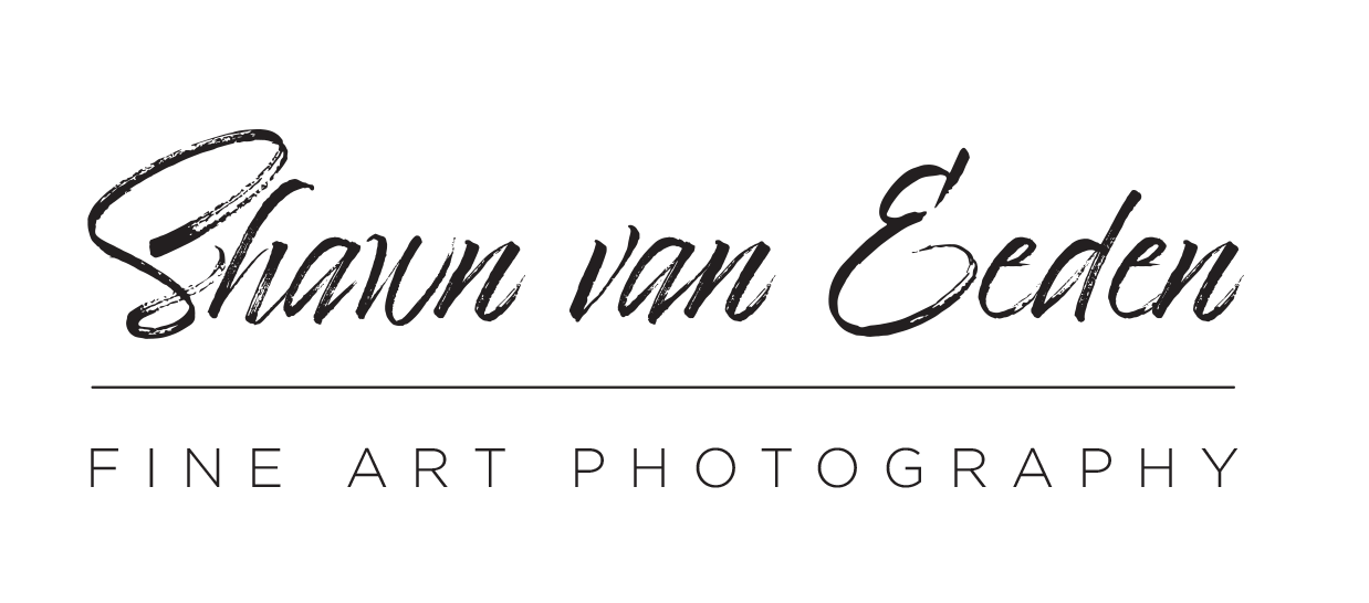 Shawn van Eeden
