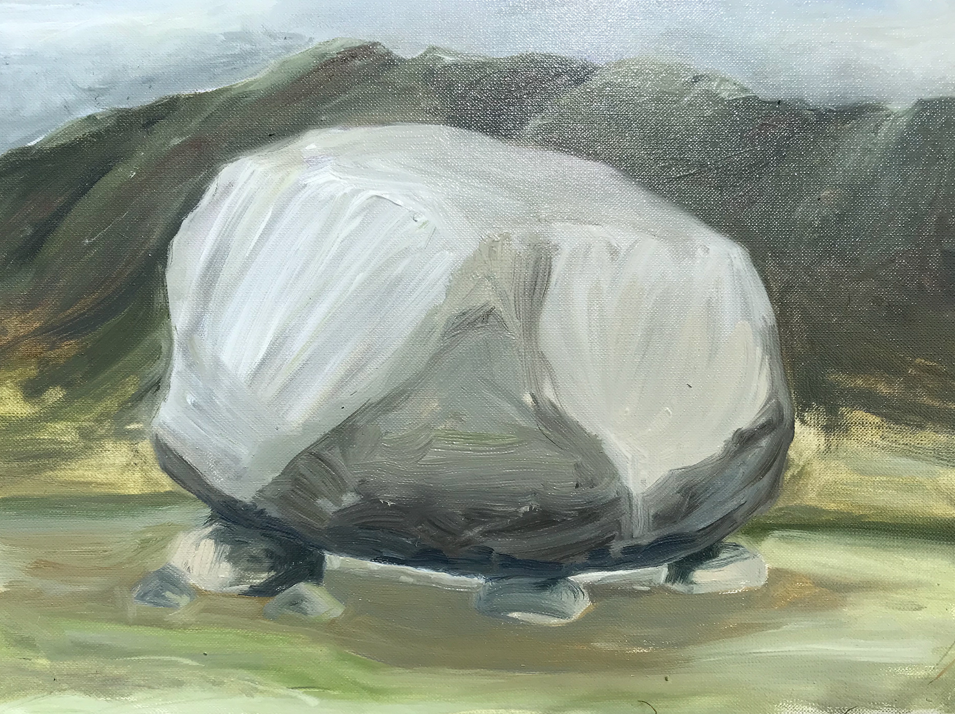 Glacial Erratic I, oil on paper, 2022