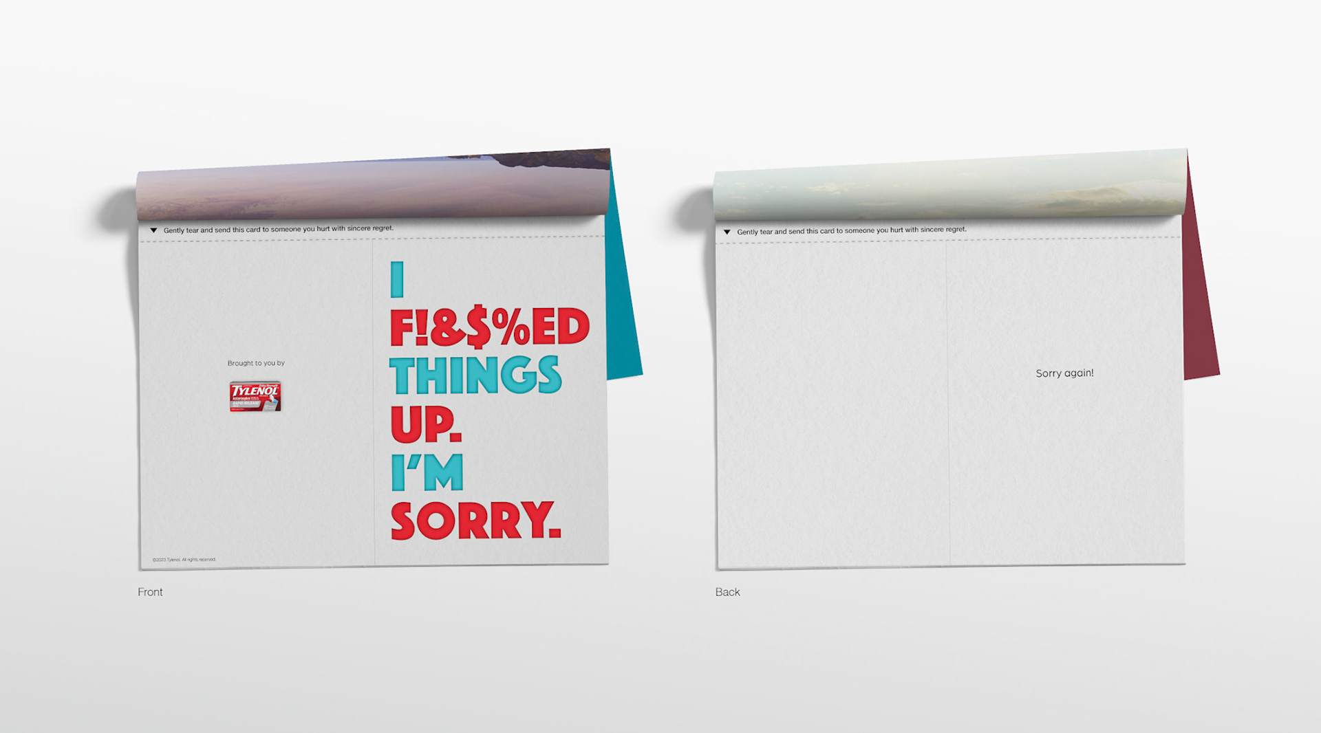 Headline: I f!&$%ED things up. I'm sorry. Sorry again! Copy: Gently tear and send this card to someone you hurt with sincere regret.