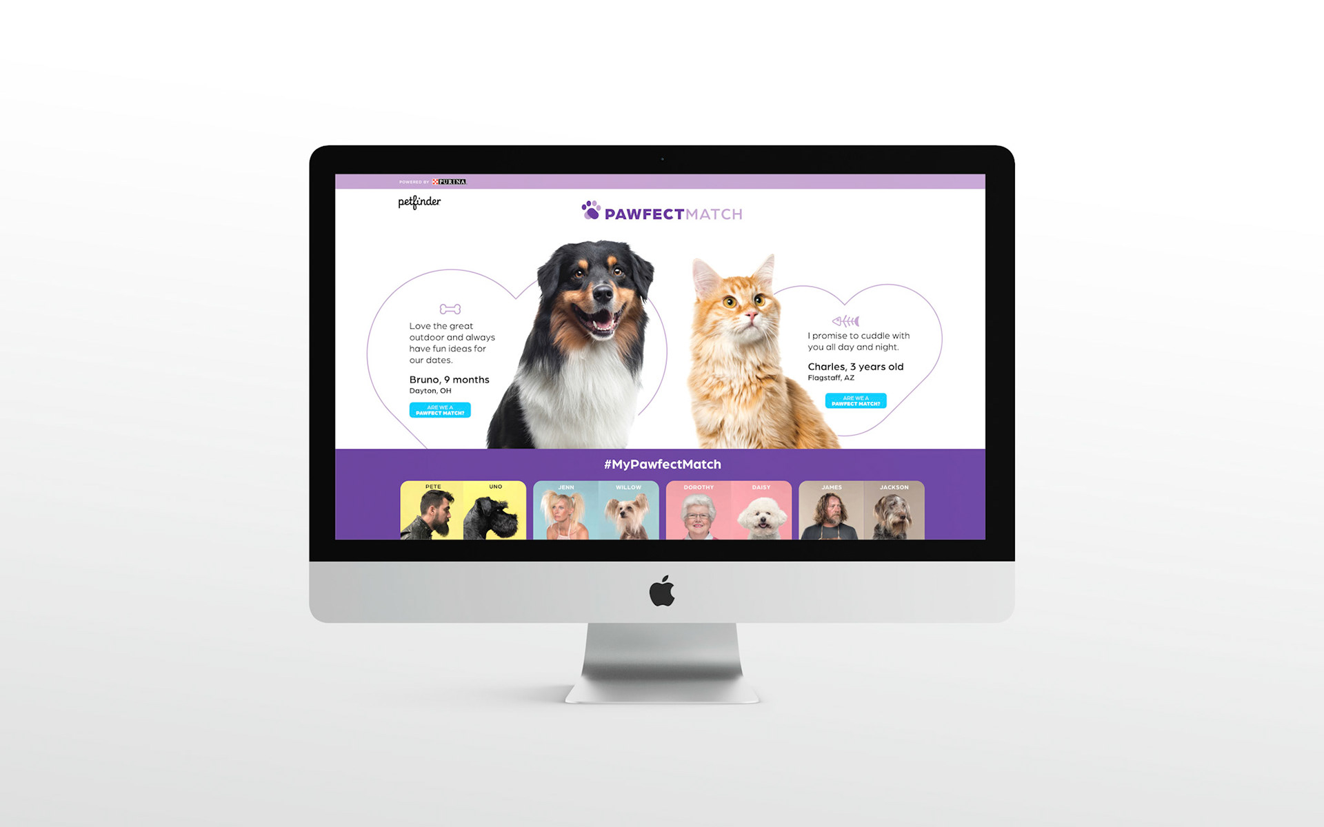 PawfectMatch Landing Page