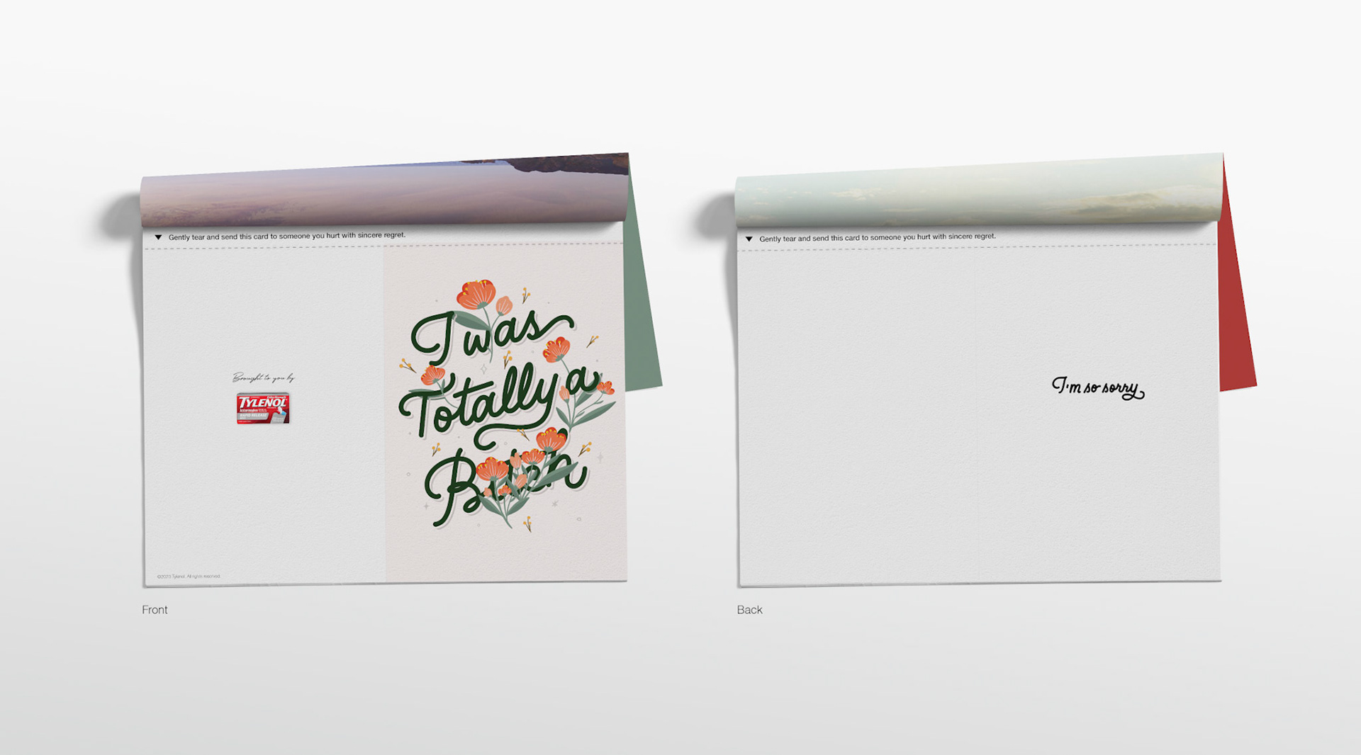 Headline: I was a totally a b!&$h. I'm so sorry. Copy: Gently tear and send this card to someone you hurt with sincere regret.
