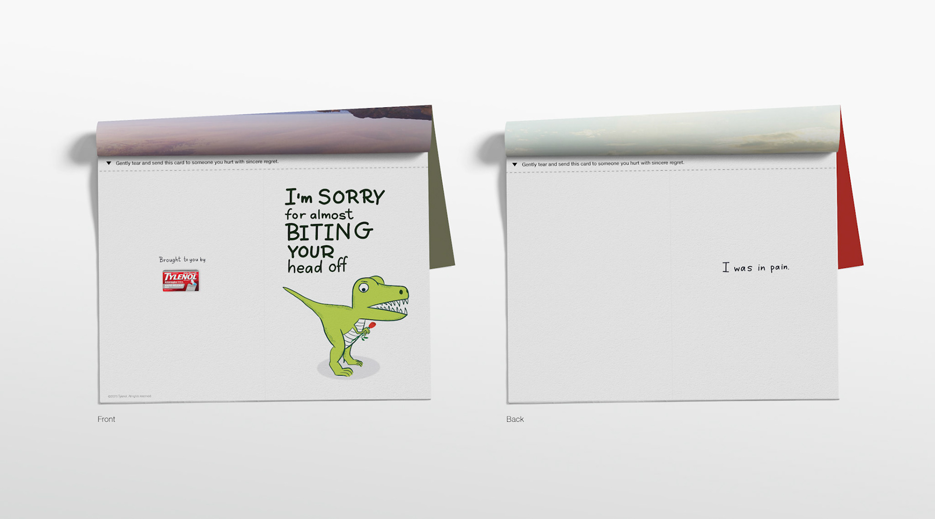 Headline: I'm sorry for almost biting your head off. I was in pain. Copy: Gently tear and send this card to someone you hurt with sincere regret.