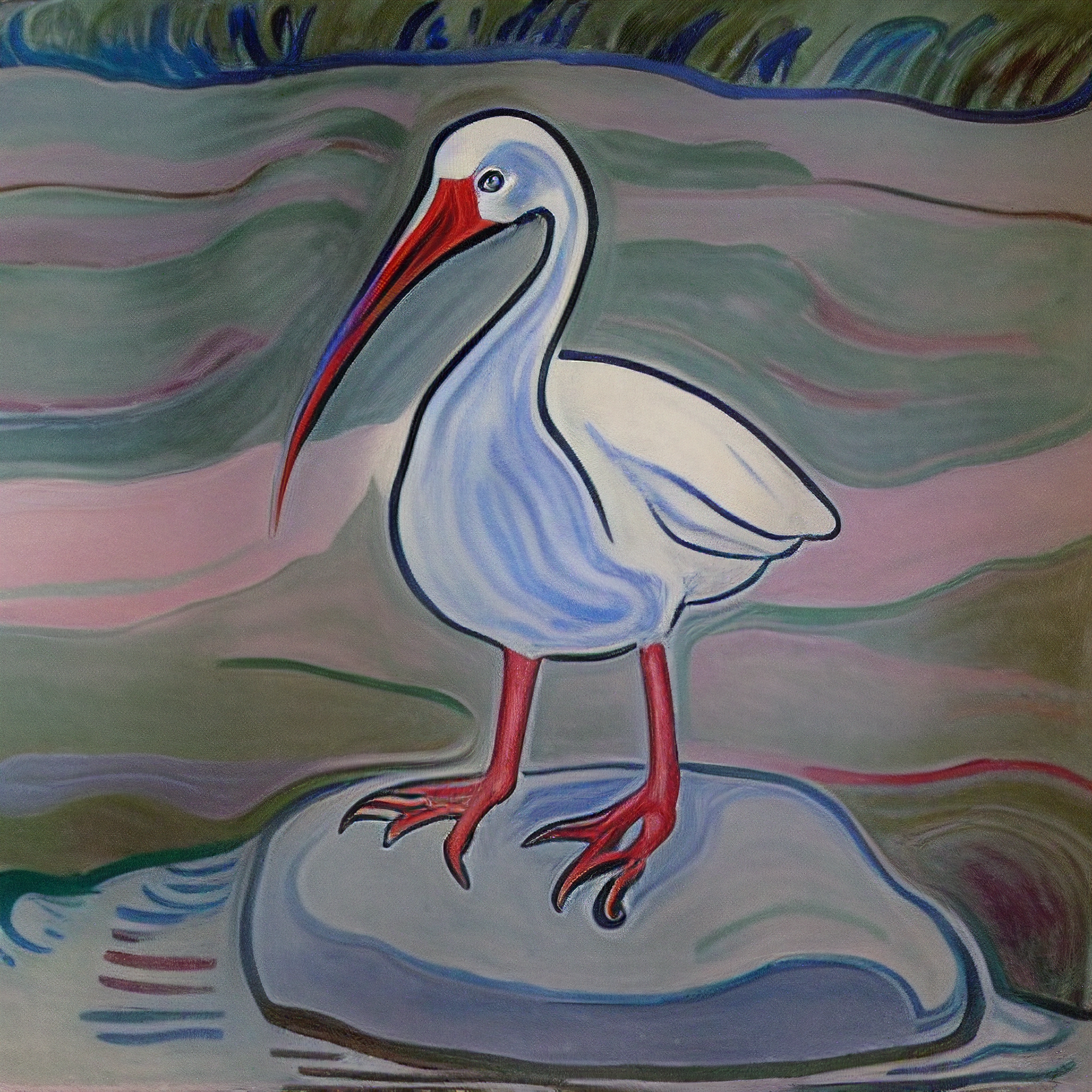 Solo Ibis