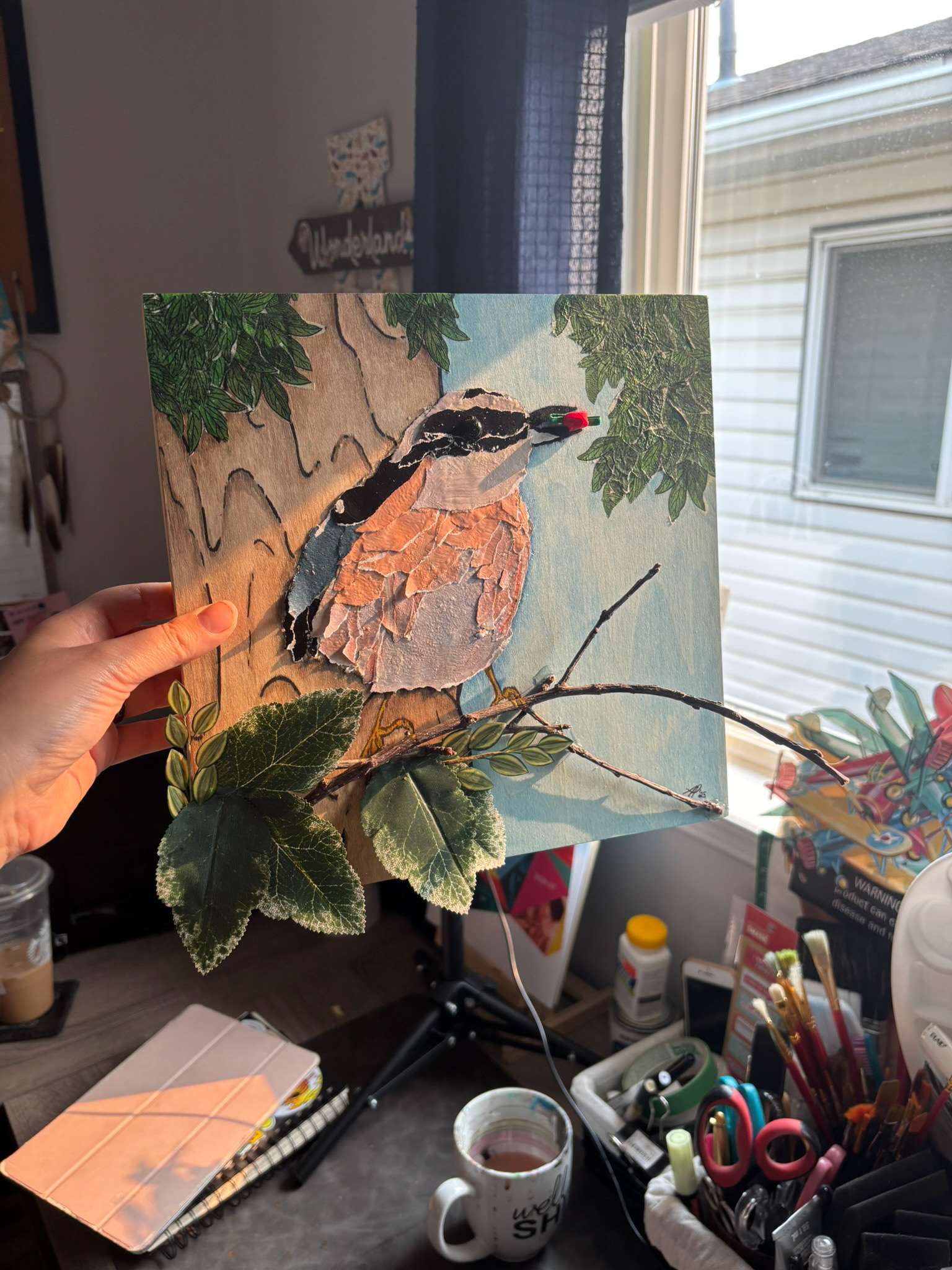 Red-breasted nuthatch