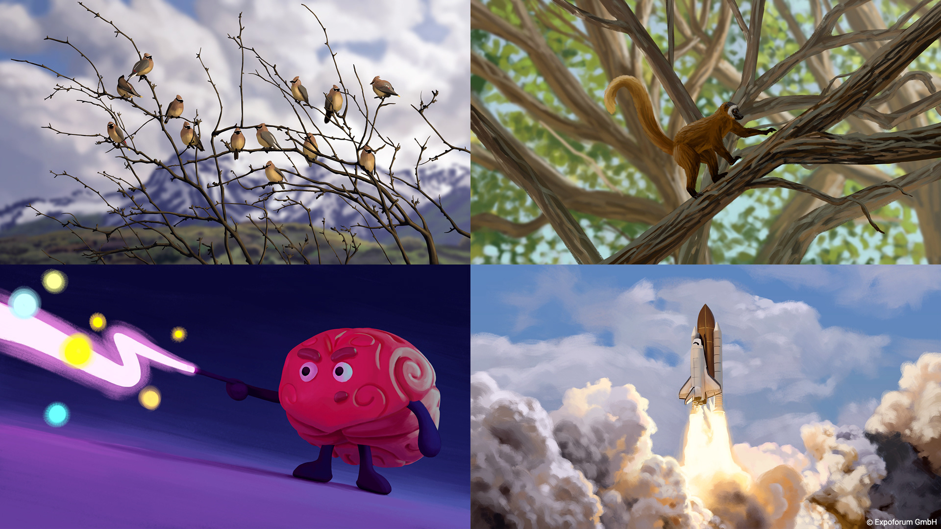 Fertige Illustrationen, welche dann als Vorlage dienten für das Animieren durch EFENTWELL!