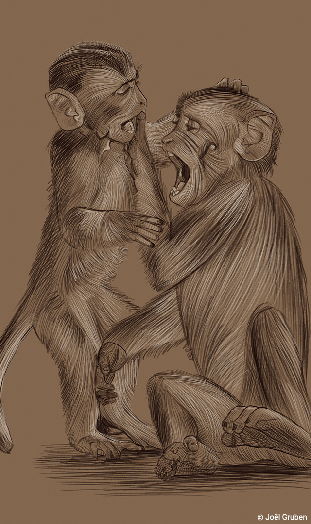 private Illustration von zwei Affen