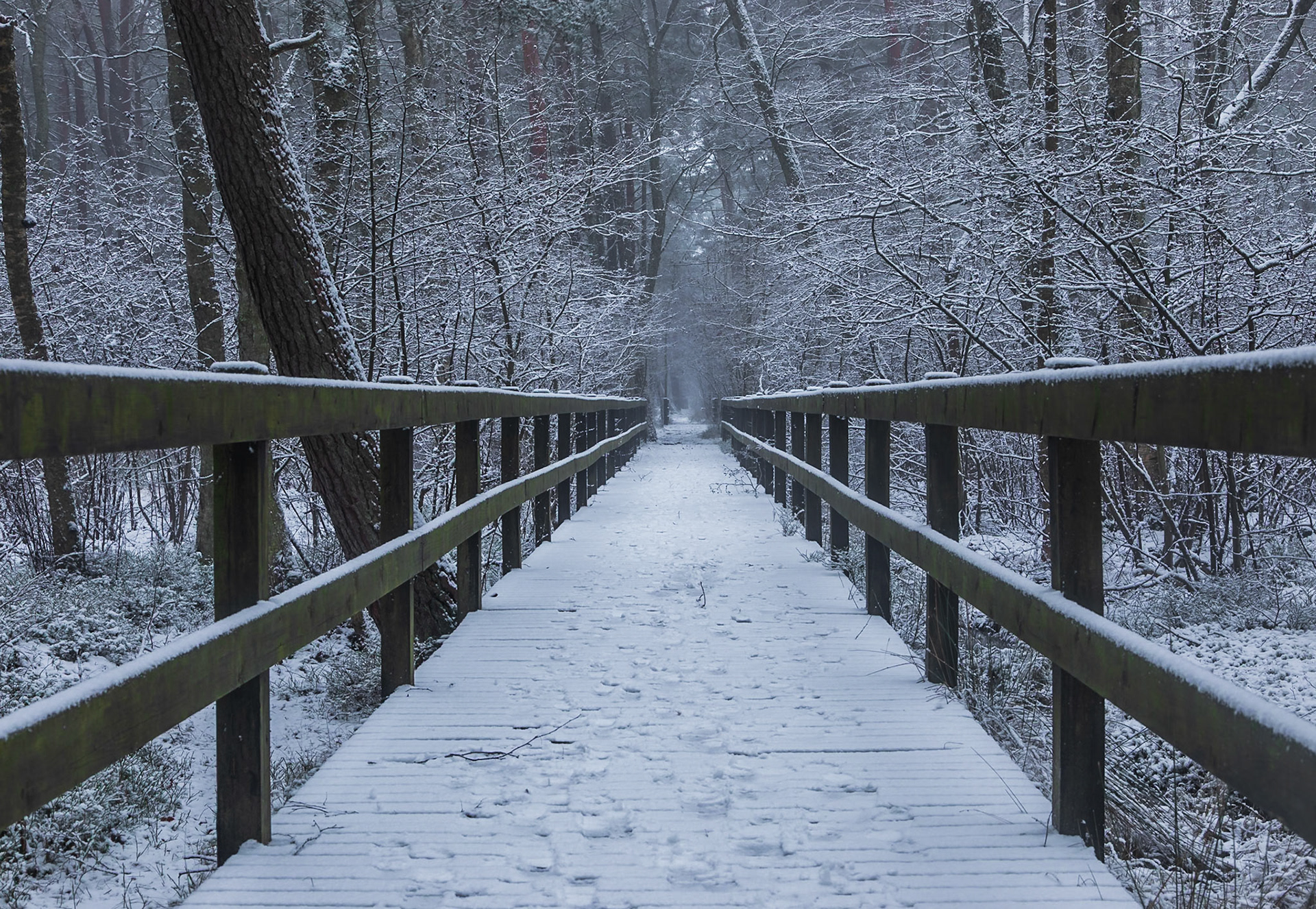Słowiński Park Narodowy
