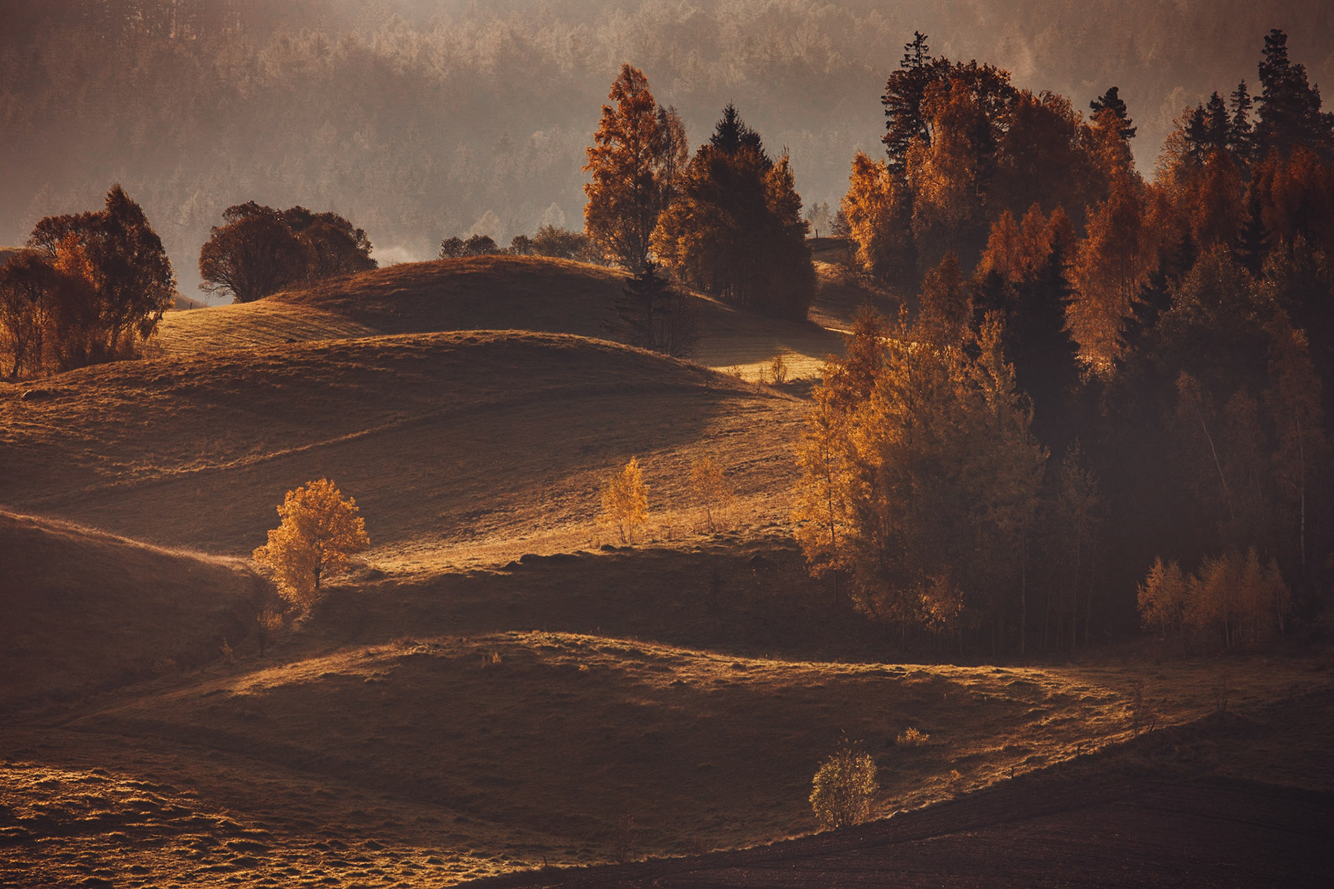 Suwalski Park Krajobrazowy