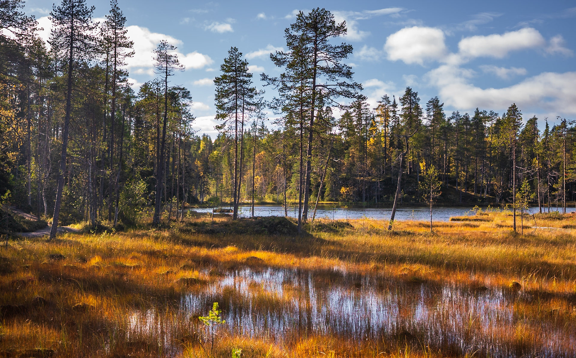 Park Narodowy Oulanka