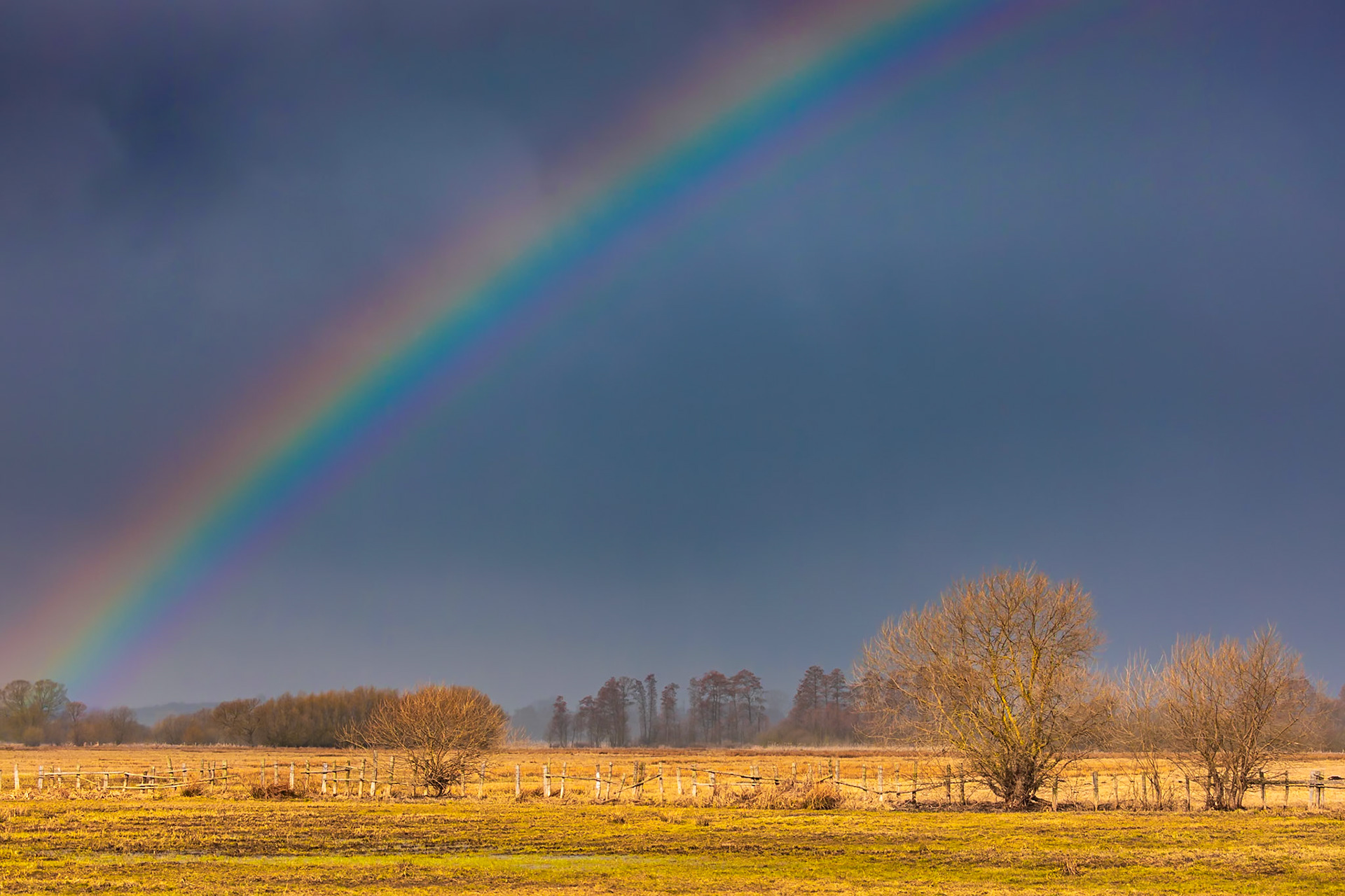 Biebrzański Park Narodowy