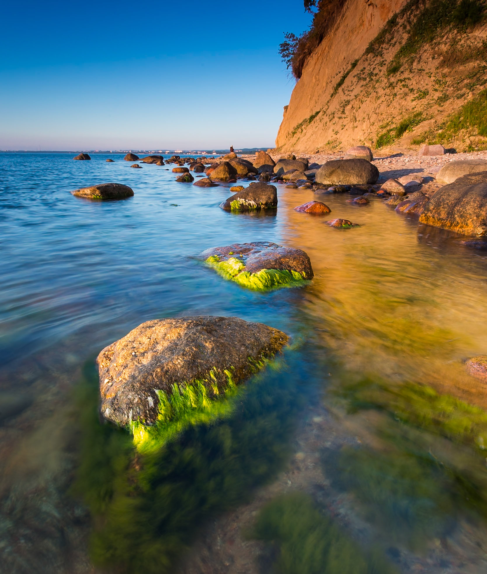 Klif Orłowski, Gdynia