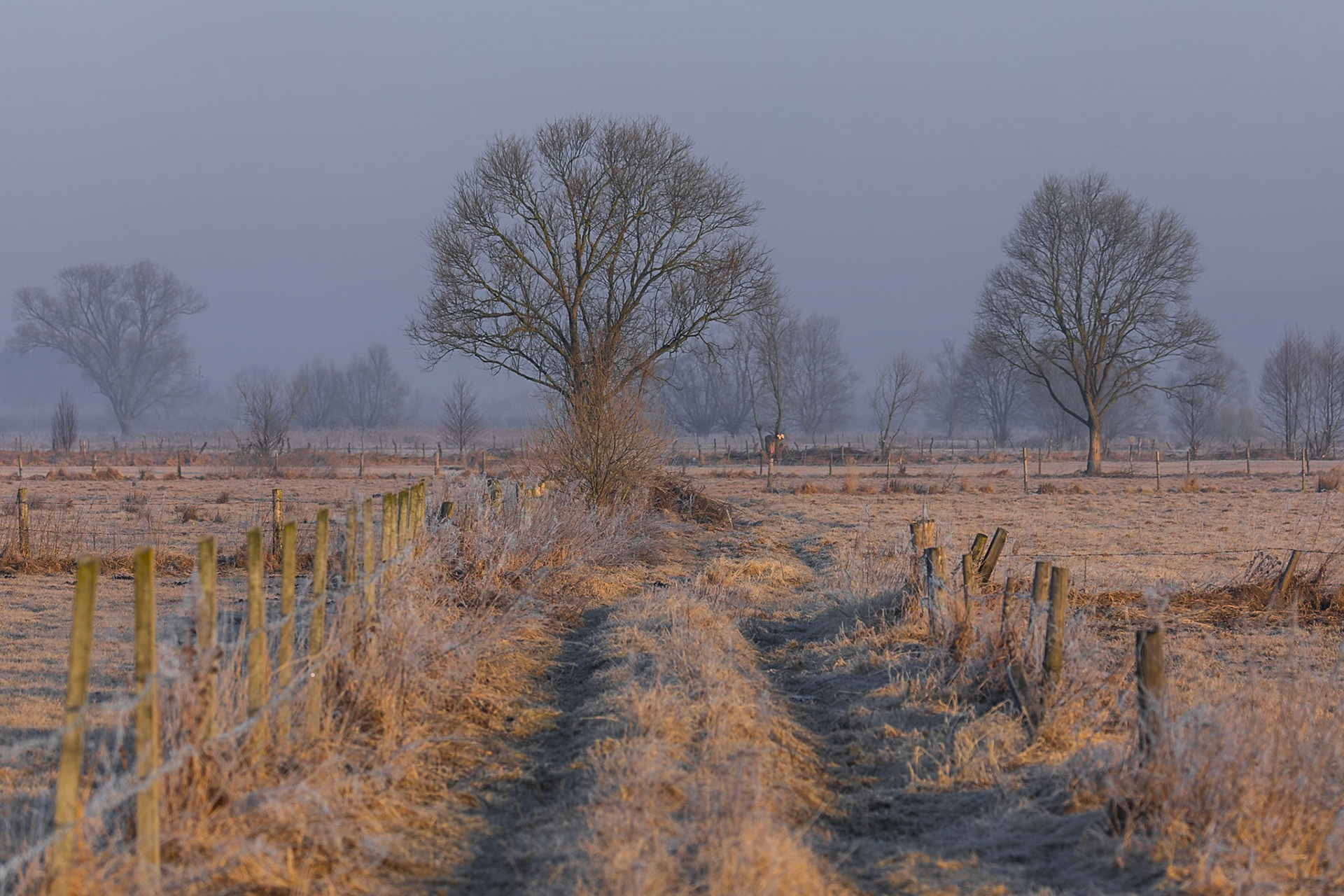 Biebrzański Park Narodowy