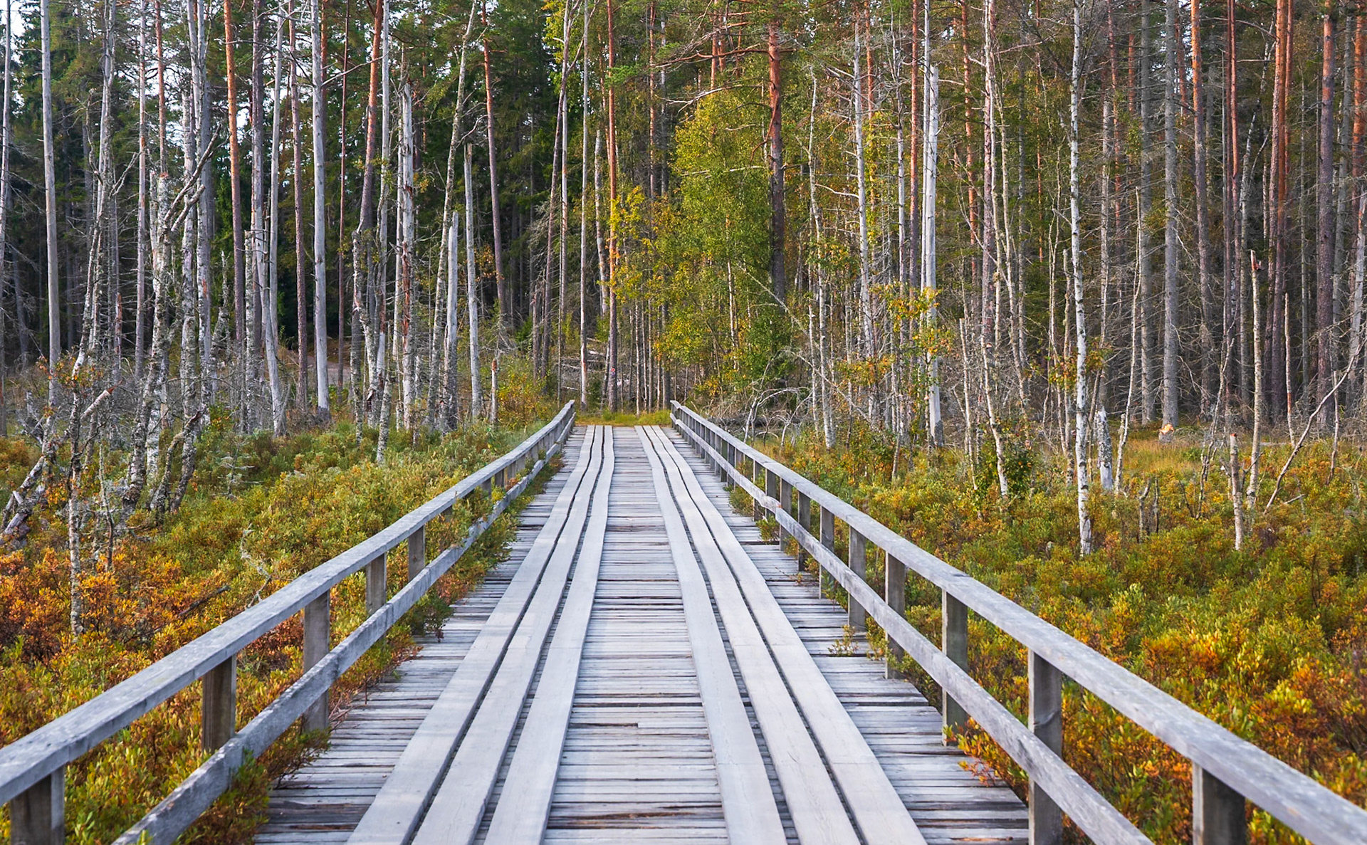 Park Narodowy Tyresta