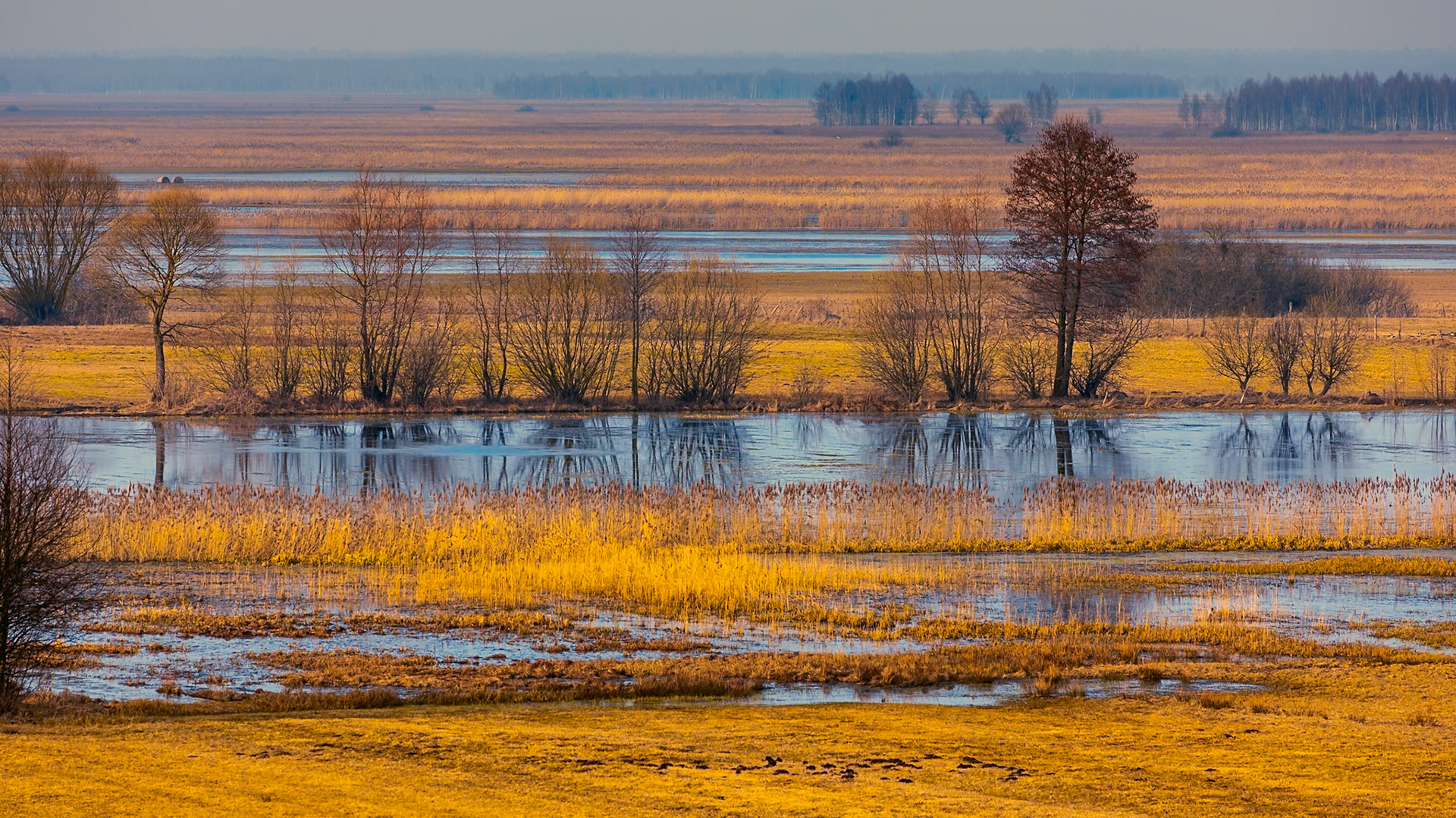 Biebrzański Park Narodowy