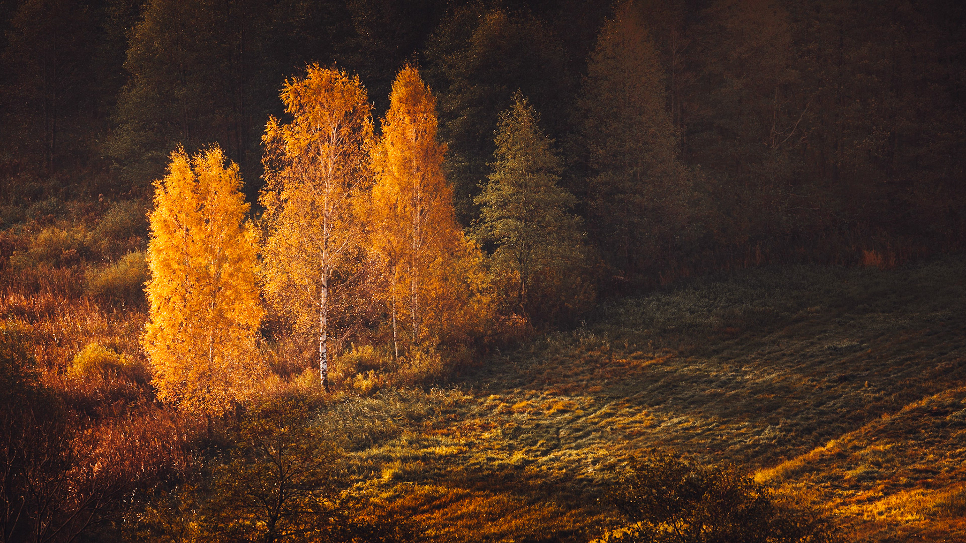 Suwalski Park Krajobrazowy