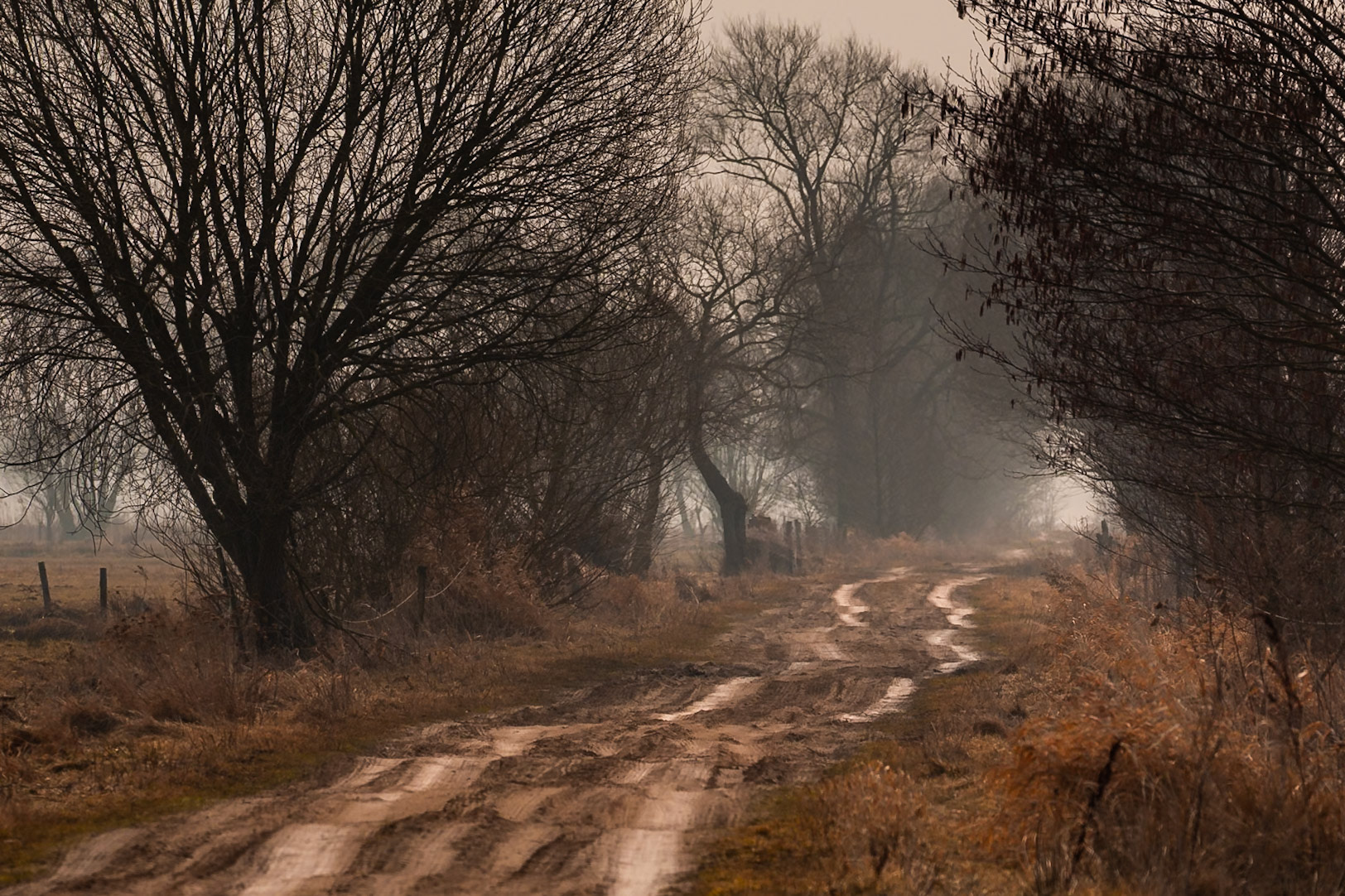 Biebrzański Park Narodowy