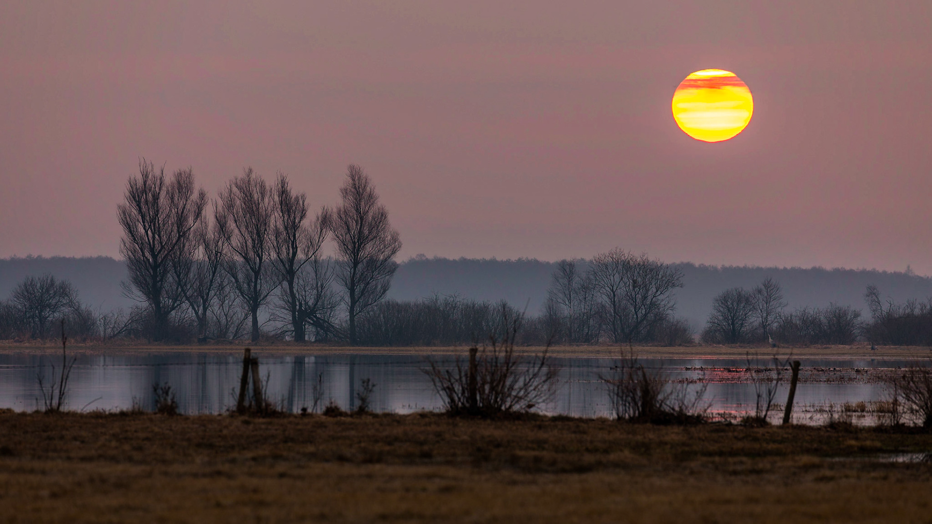 Biebrzański Park Narodowy