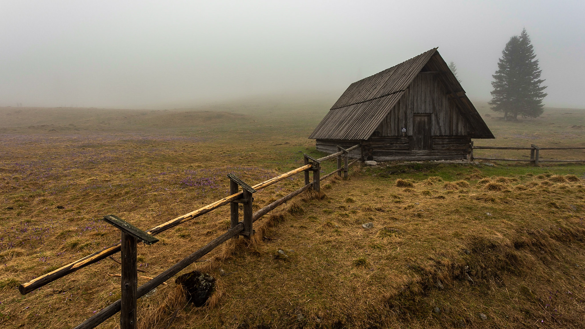 Dolina Chochołowska
