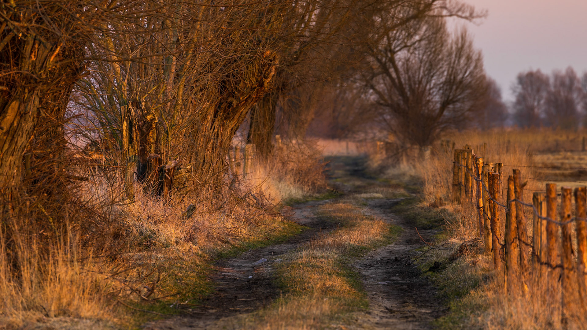Biebrzański Park Narodowy