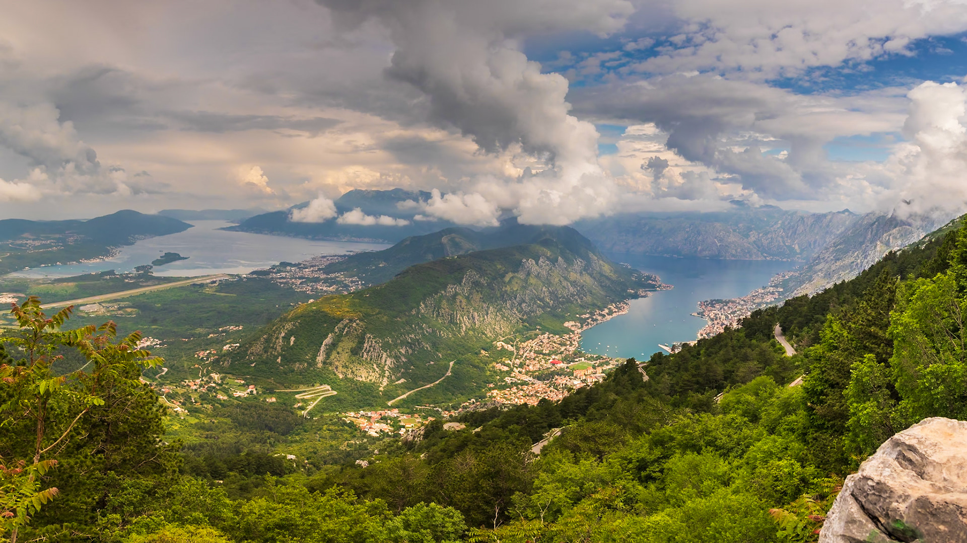 Kotor