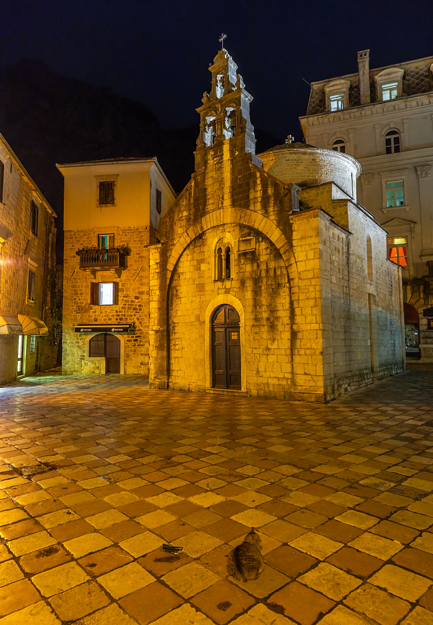 Kotor