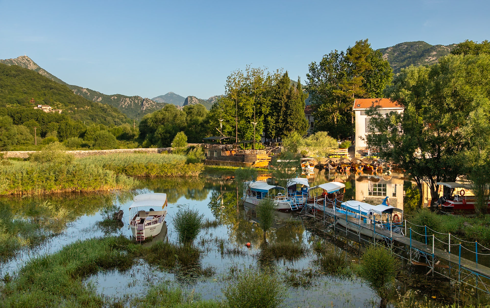 Virpazar