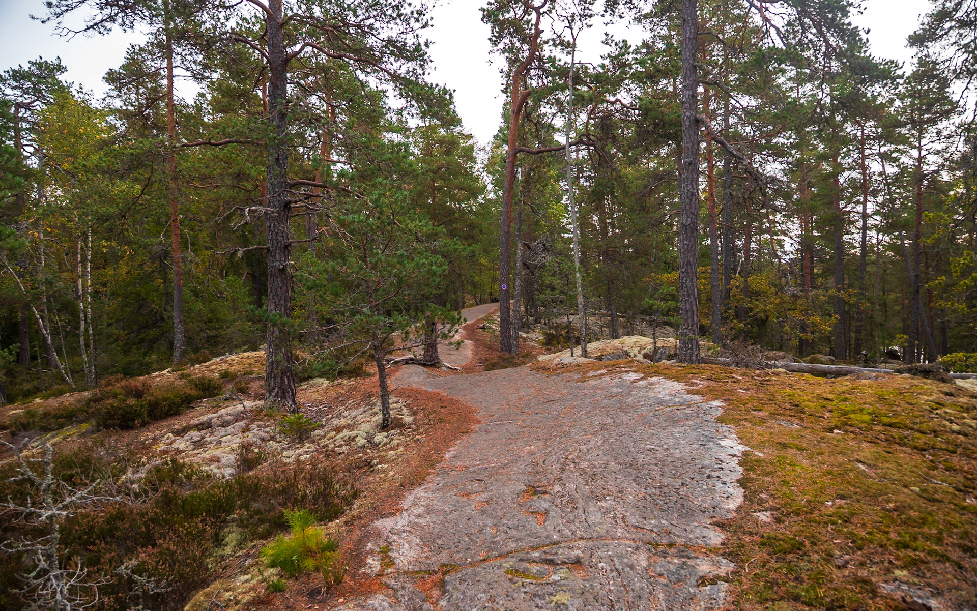 Park Narodowy Tyresta
