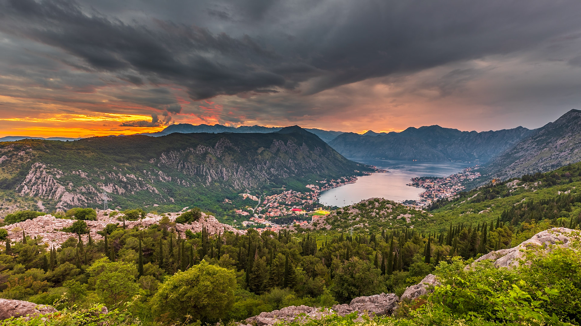 Kotor