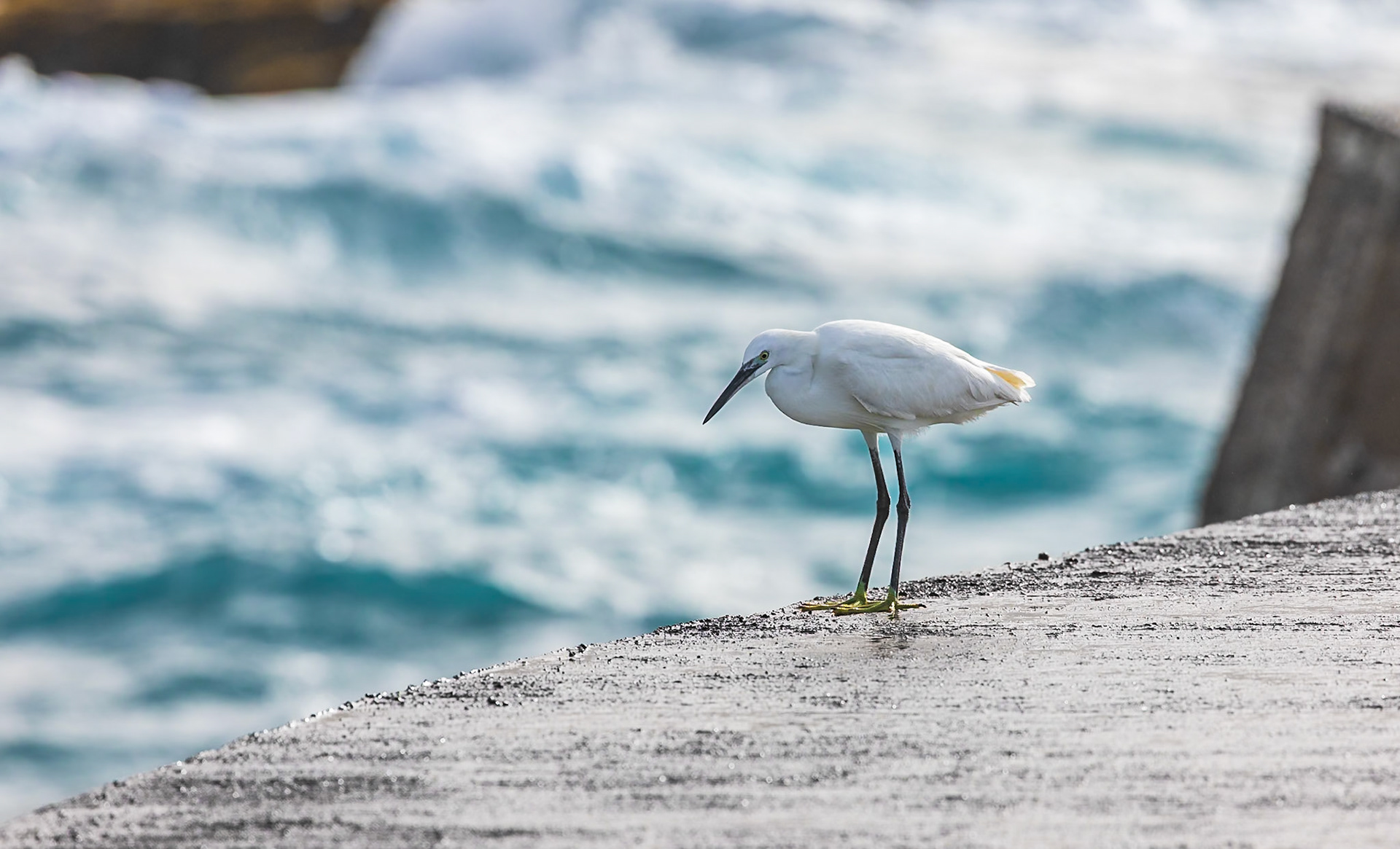 Ponta do Sol, Santo Antao