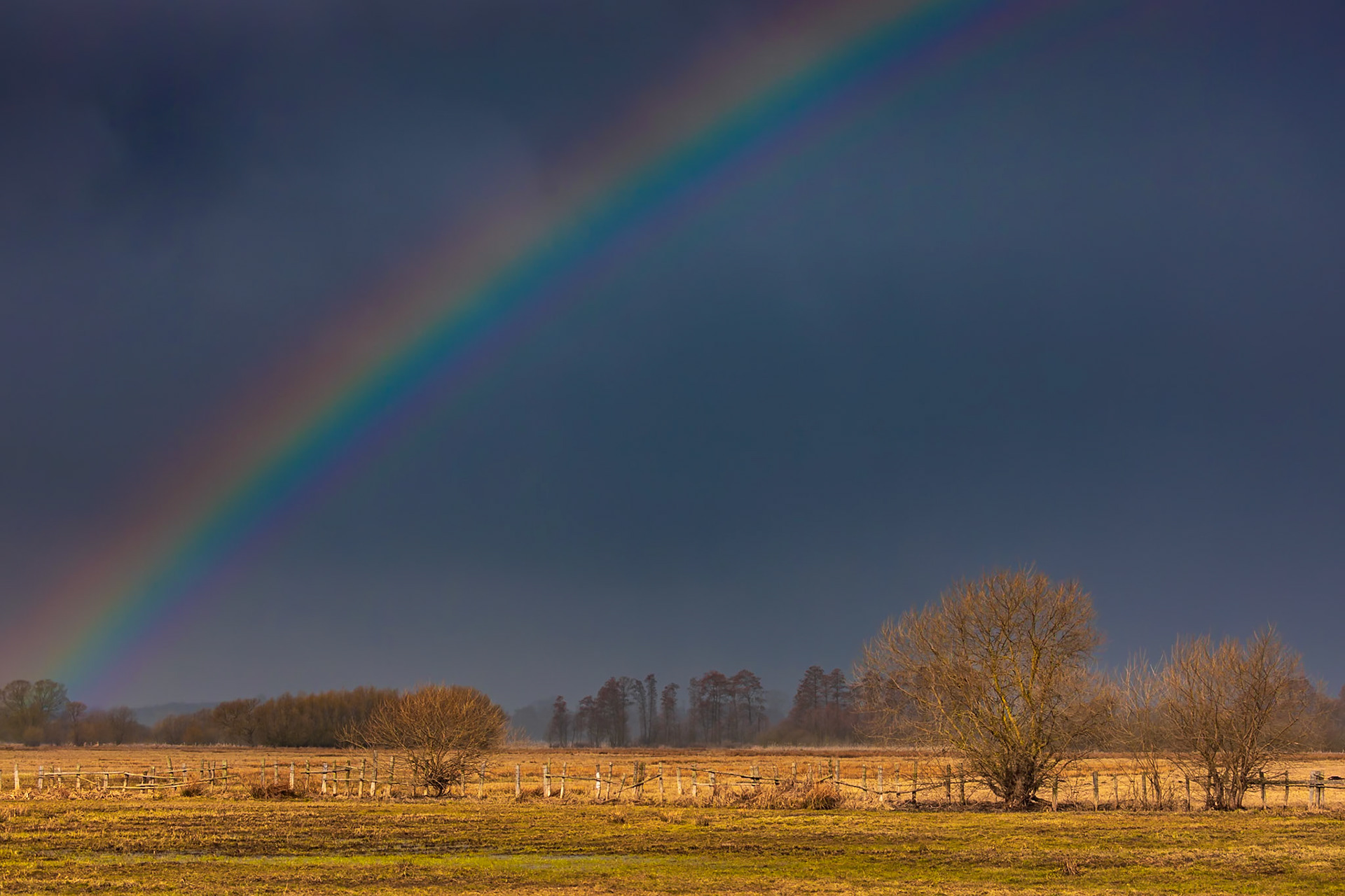 Biebrzański Park Narodowy